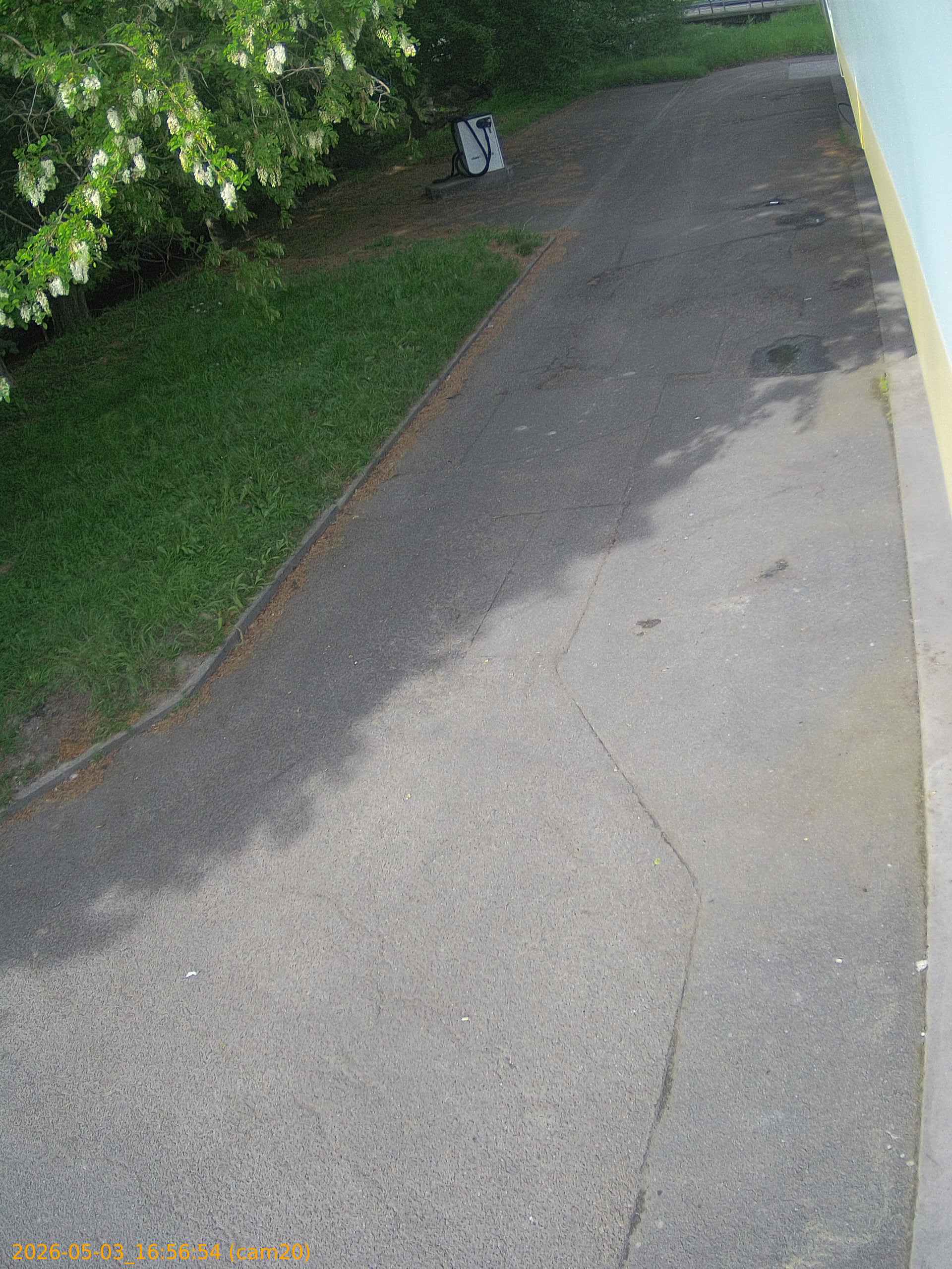 20260503165654