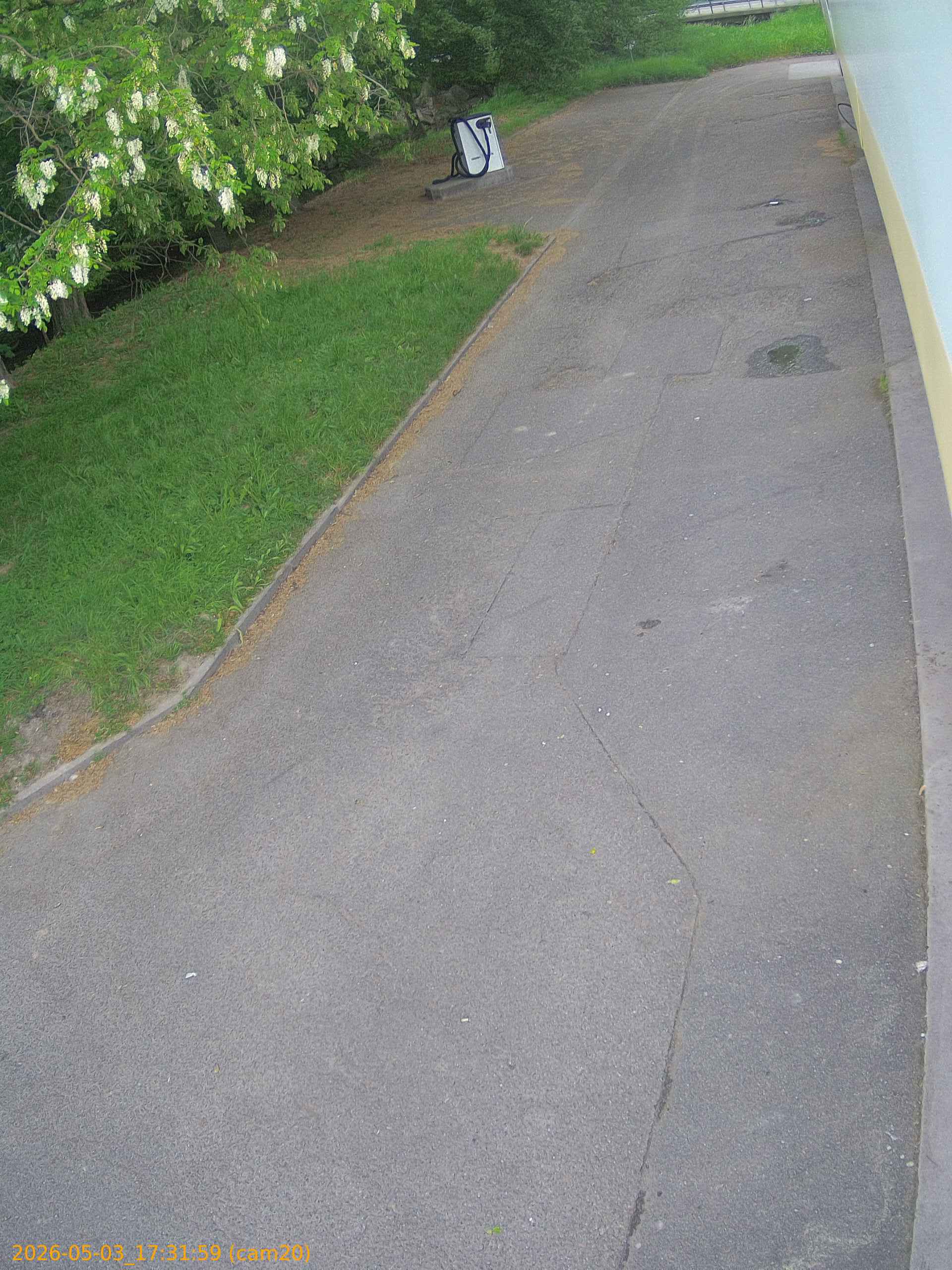 202605031731