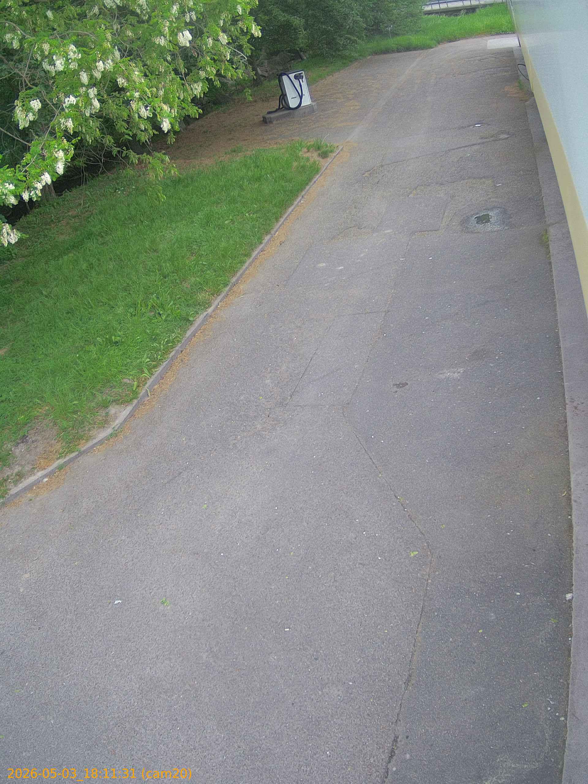 20260503181131