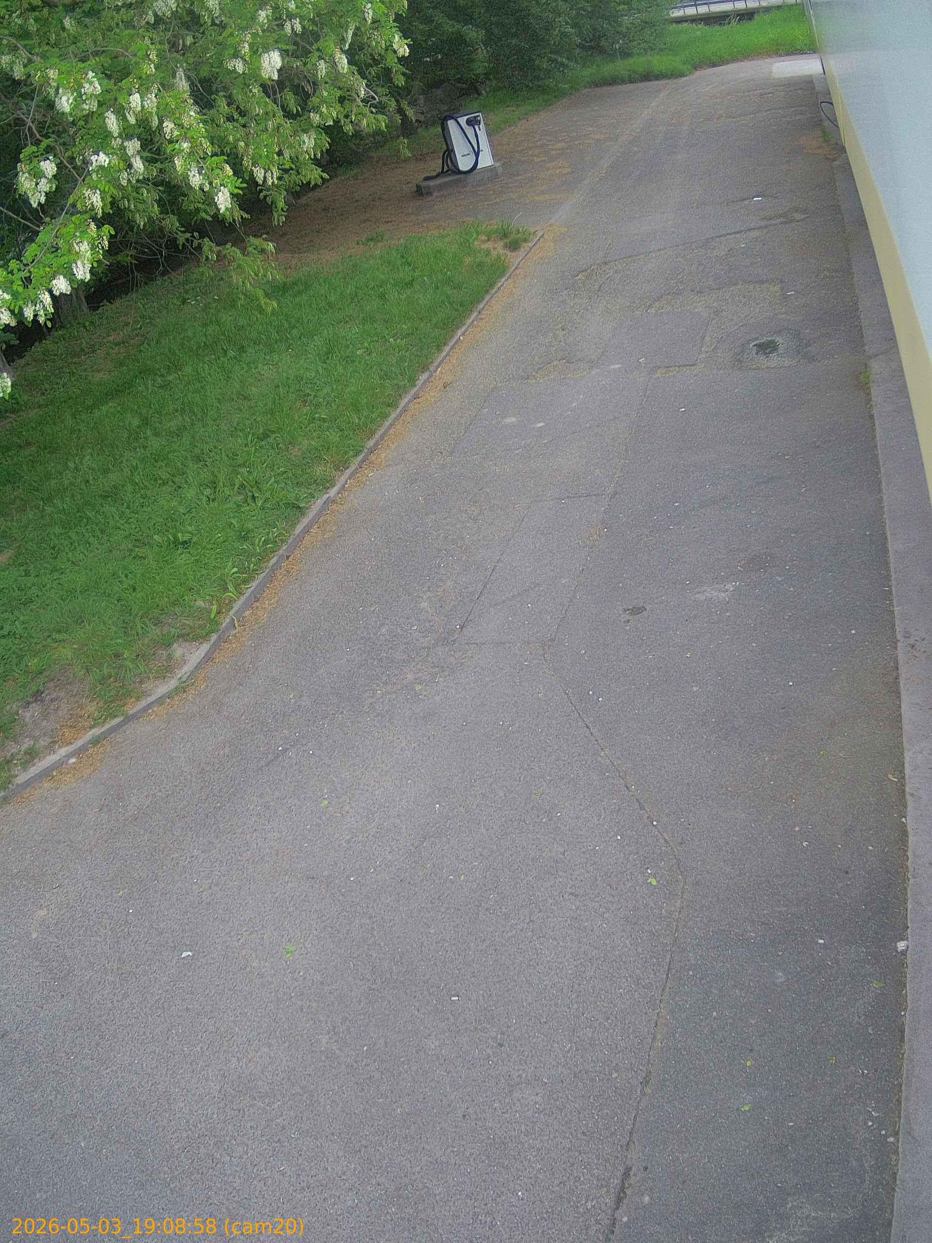 202605031908