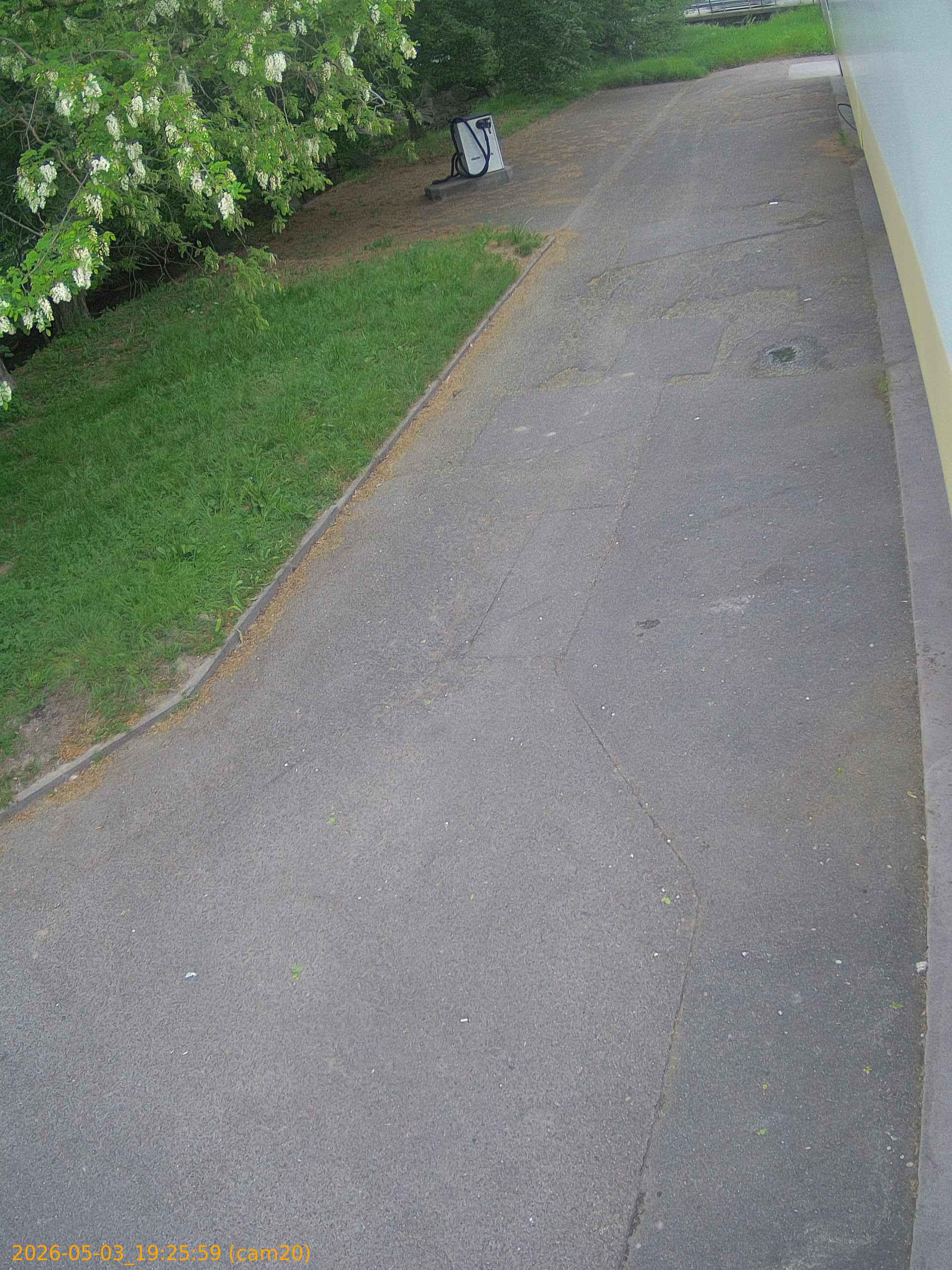 202605031925