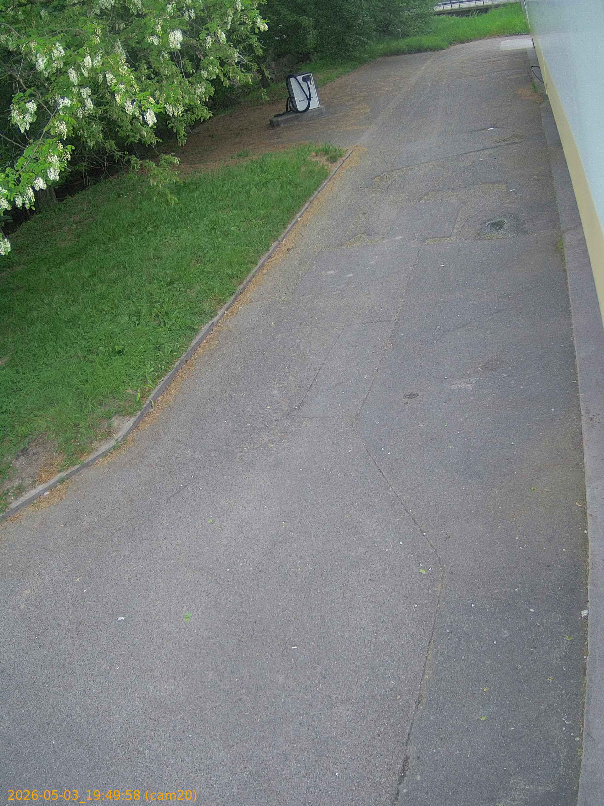 202605031949