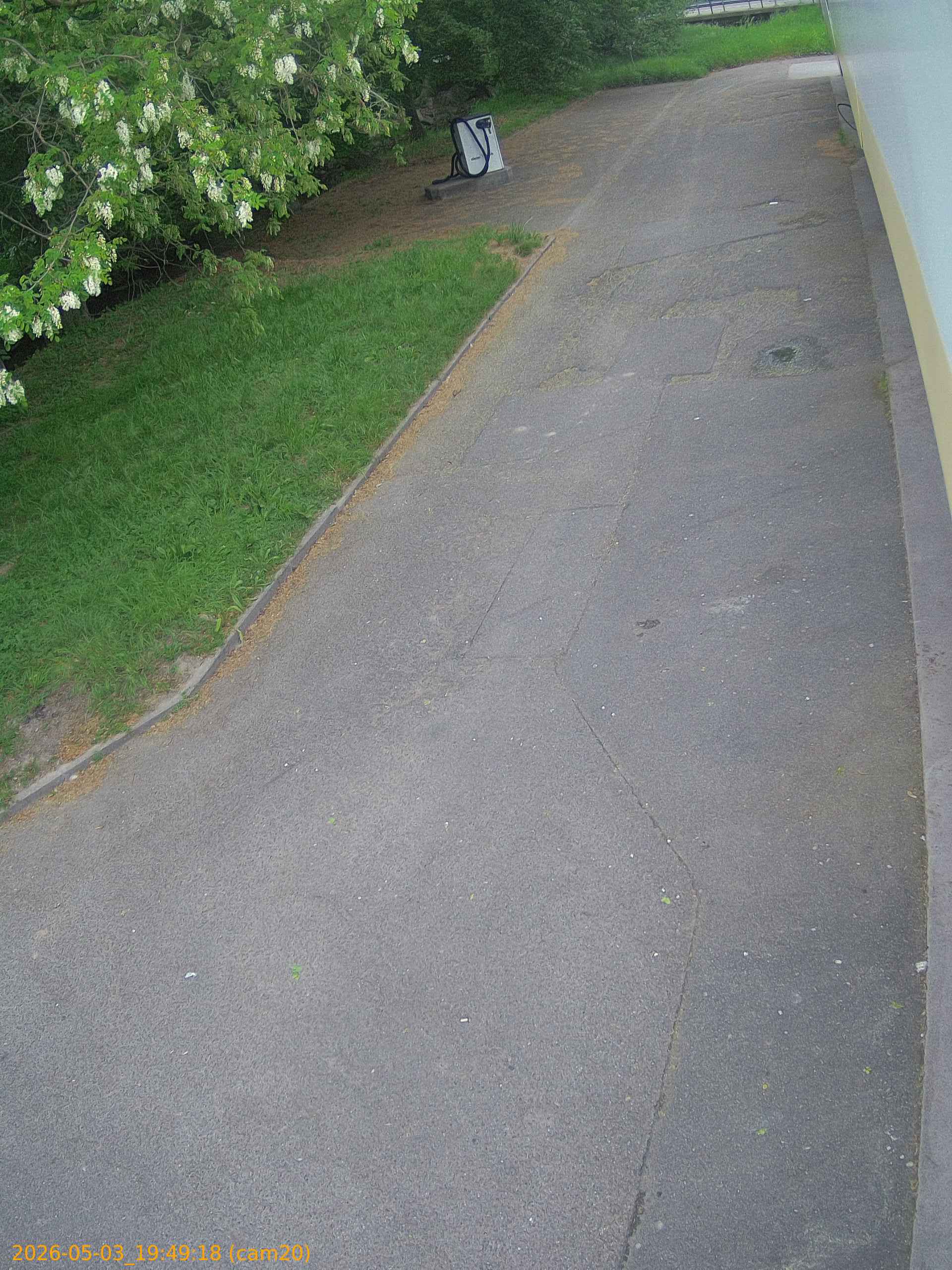 20260503194918