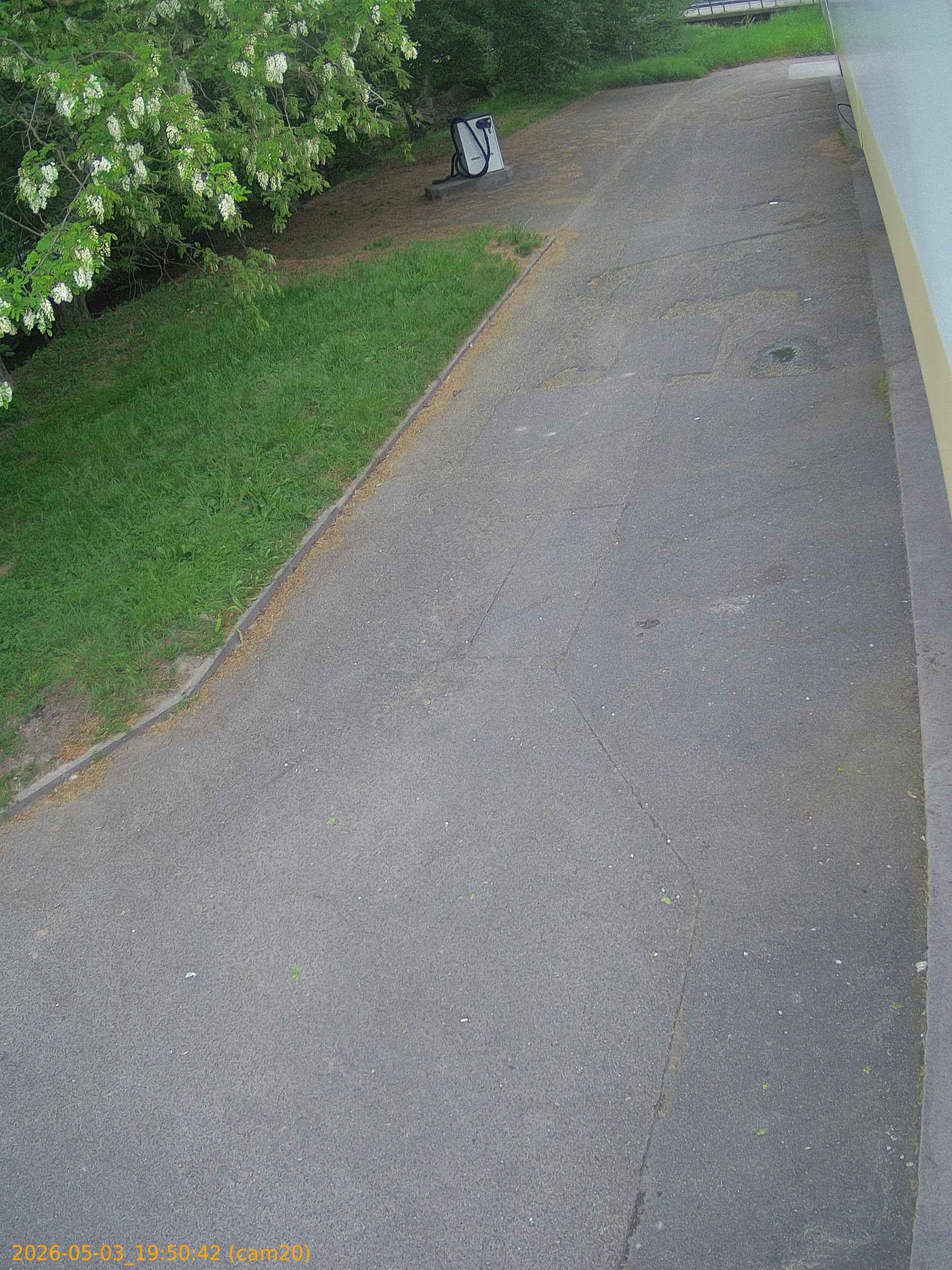 20260503195042