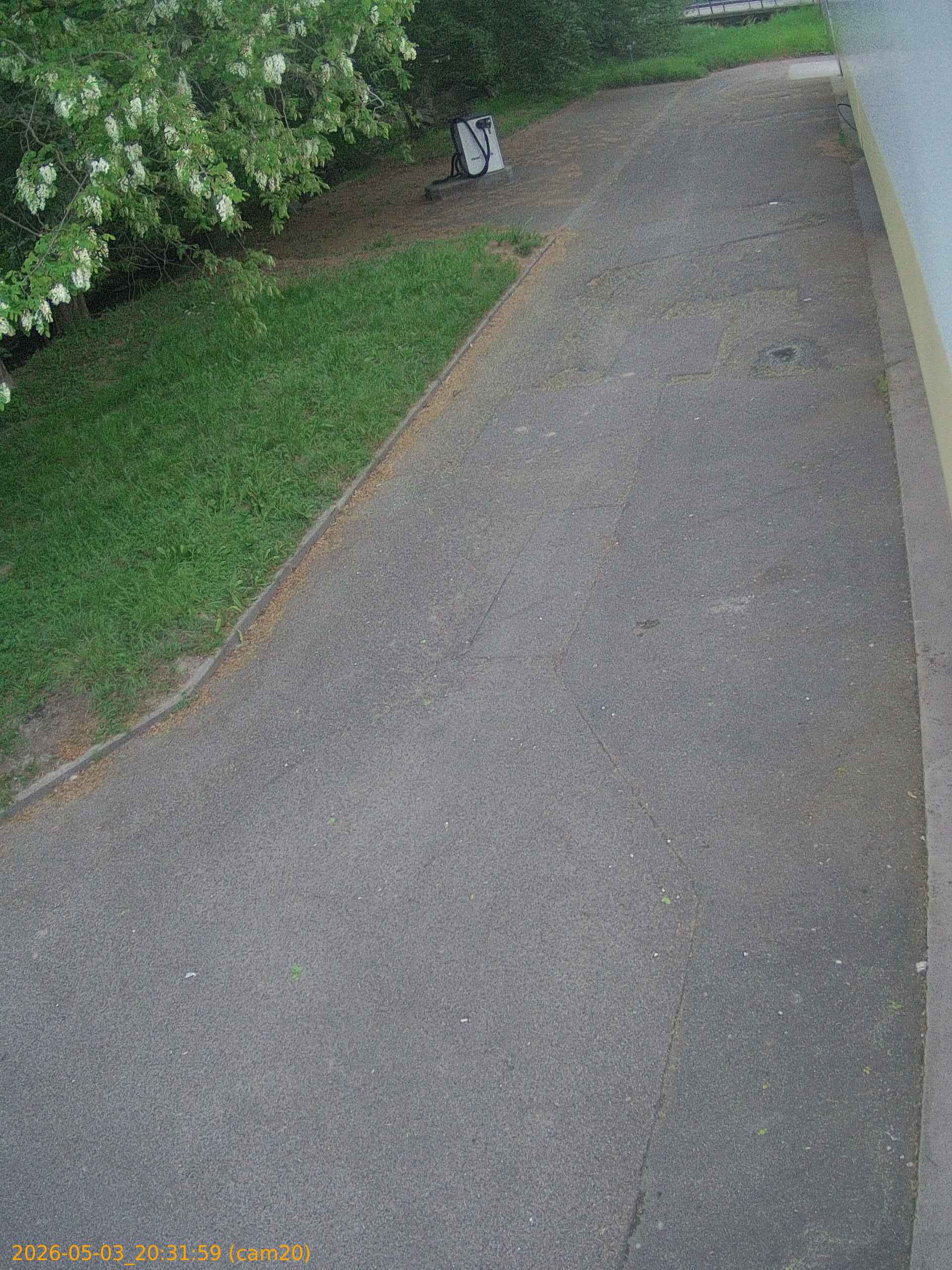 202605032031