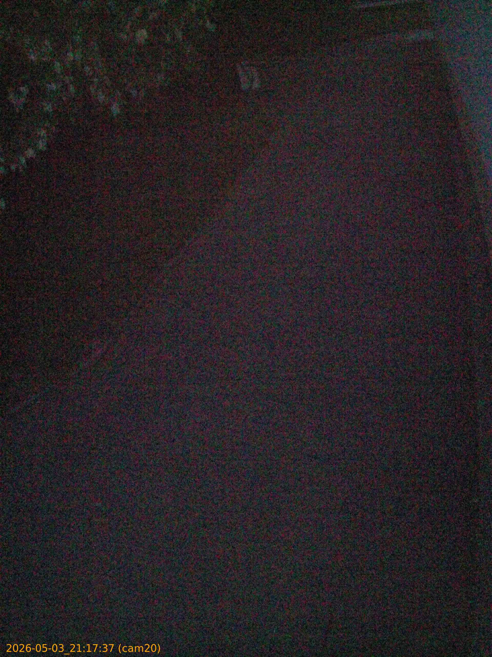 20260503211737