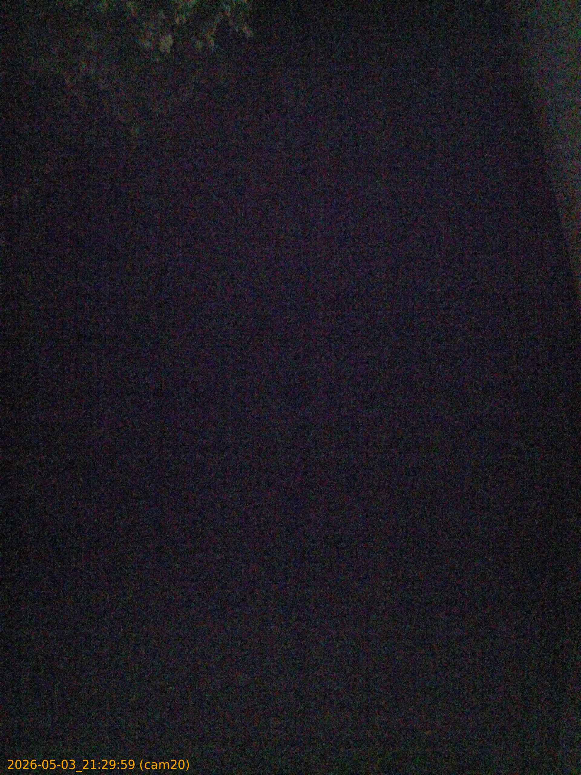 202605032129