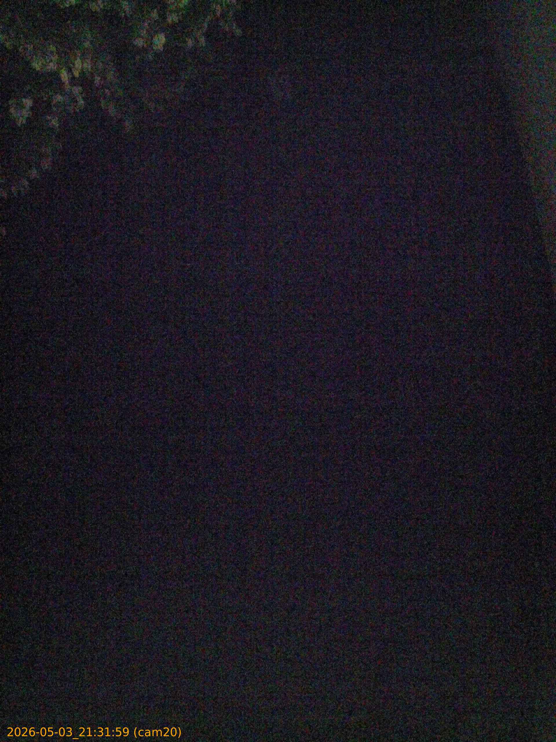 202605032131