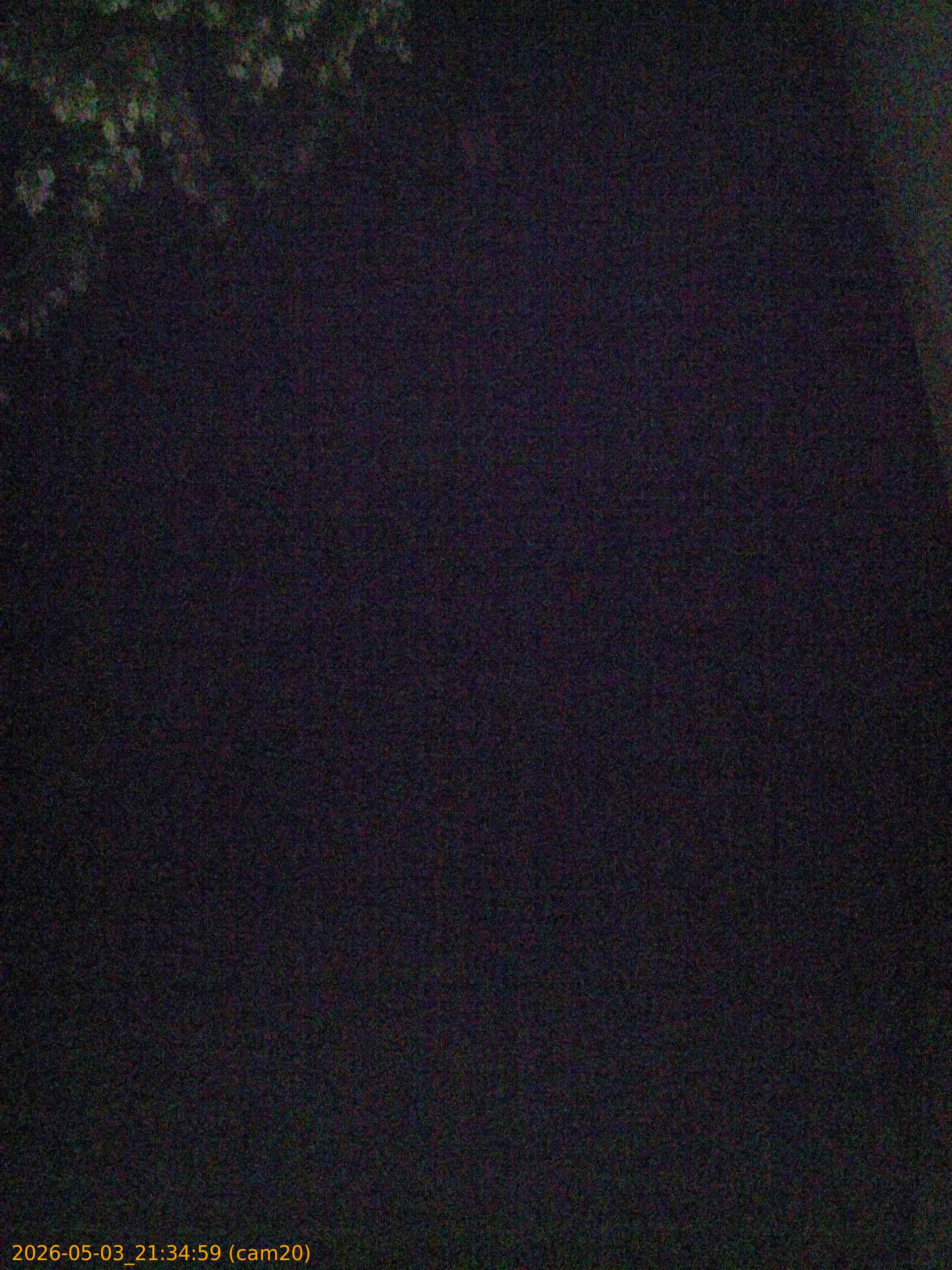 202605032134