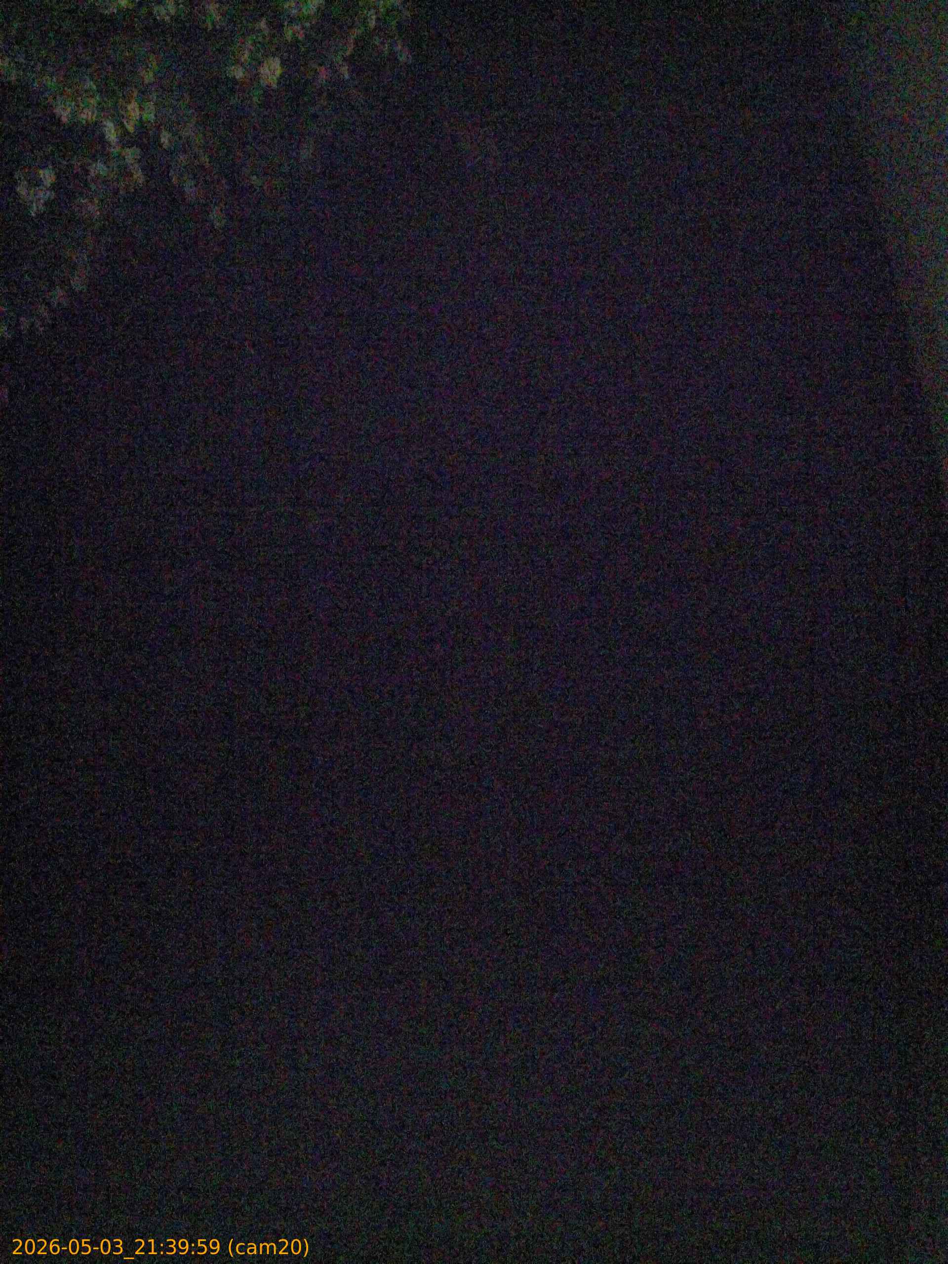 202605032139