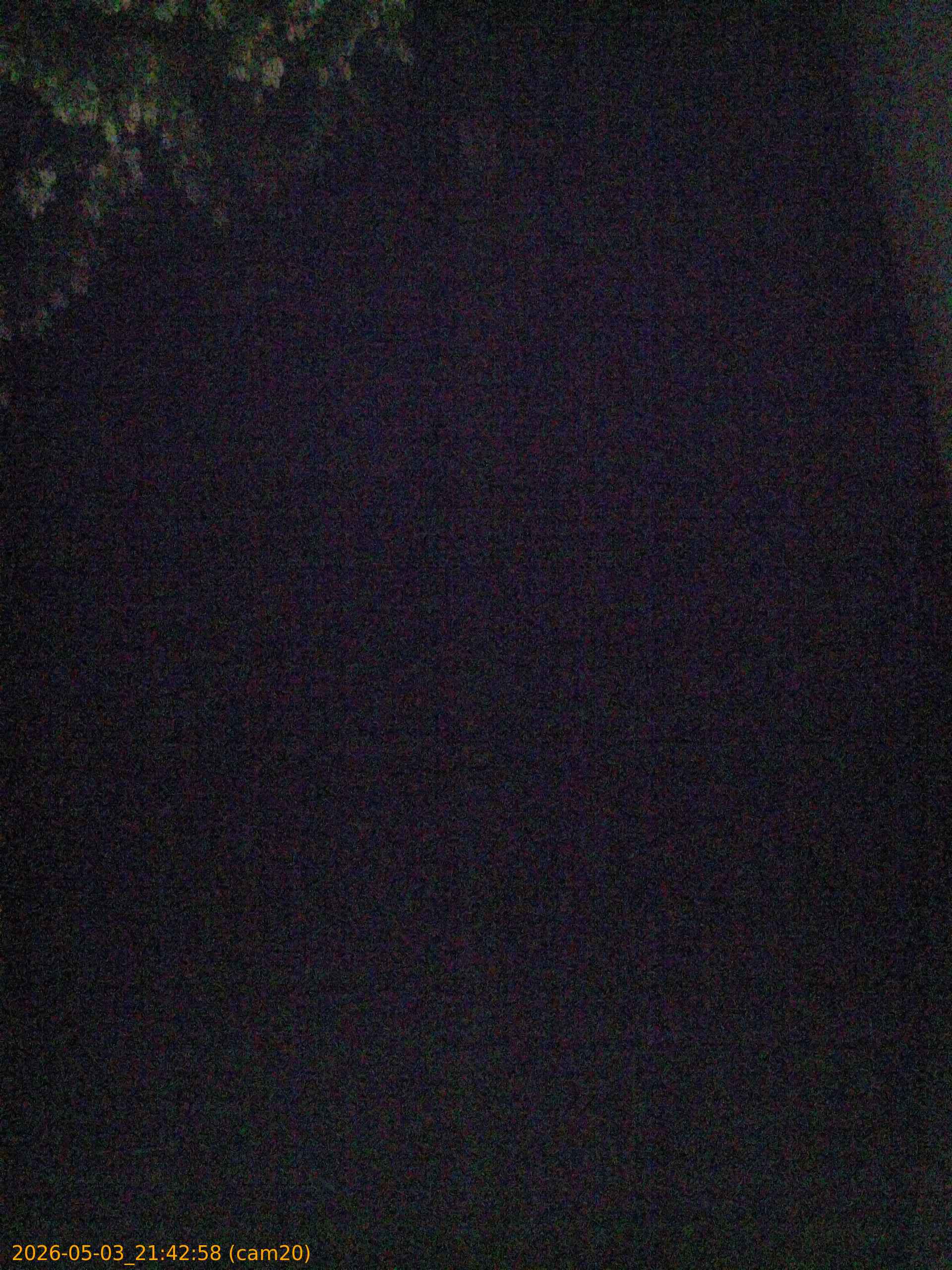 202605032142