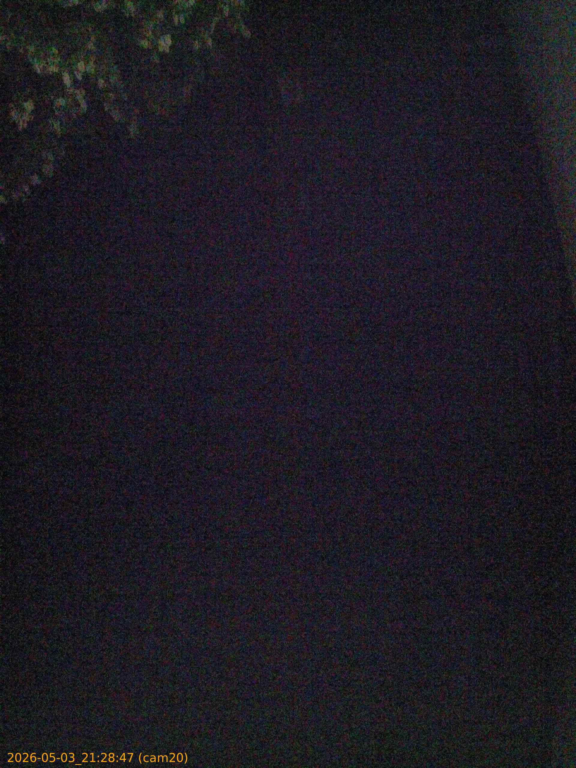 20260503212847