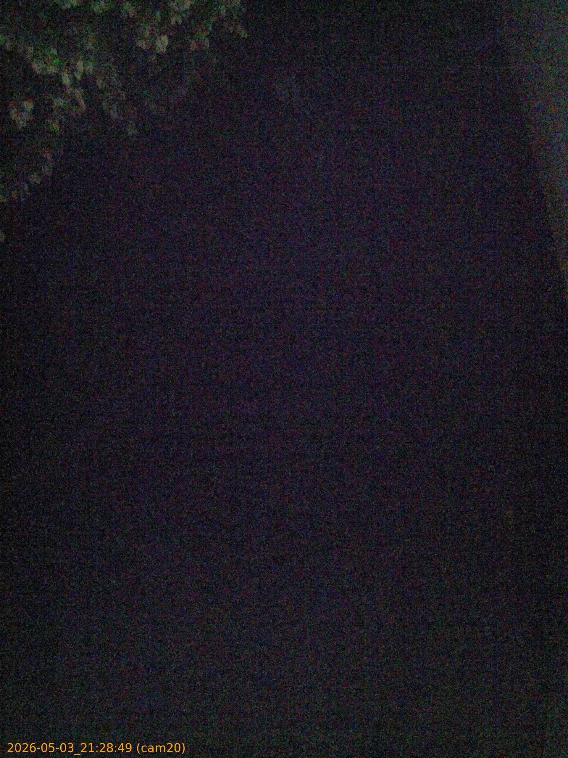 20260503212849