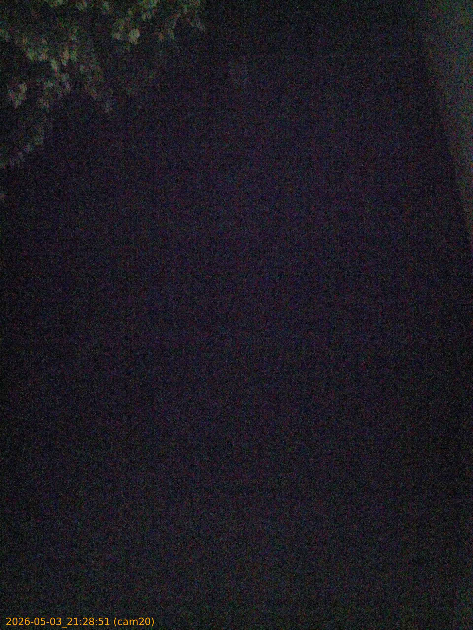 20260503212851