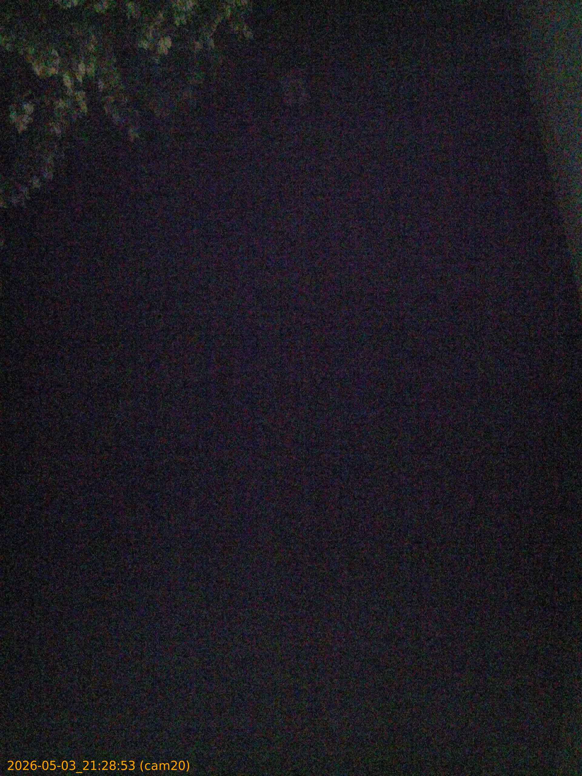 20260503212853