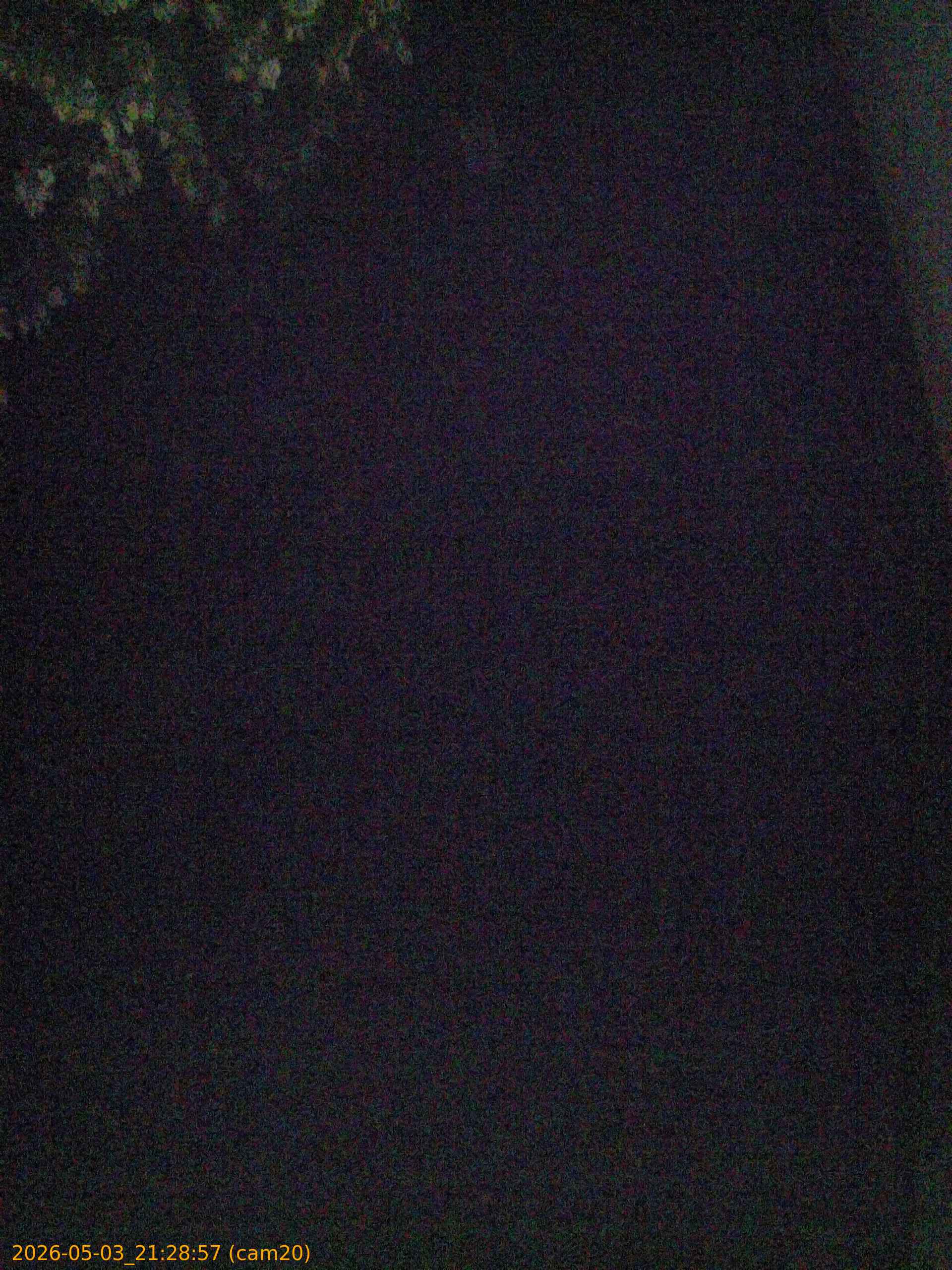 20260503212857