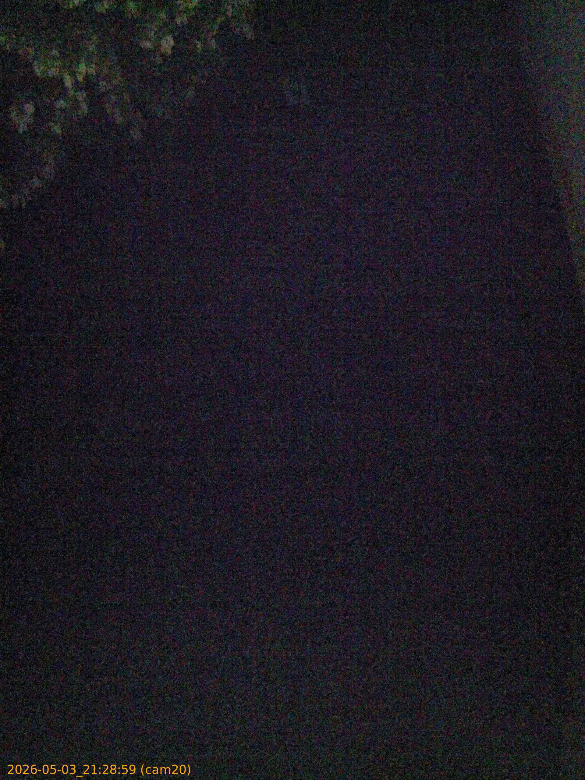 20260503212859