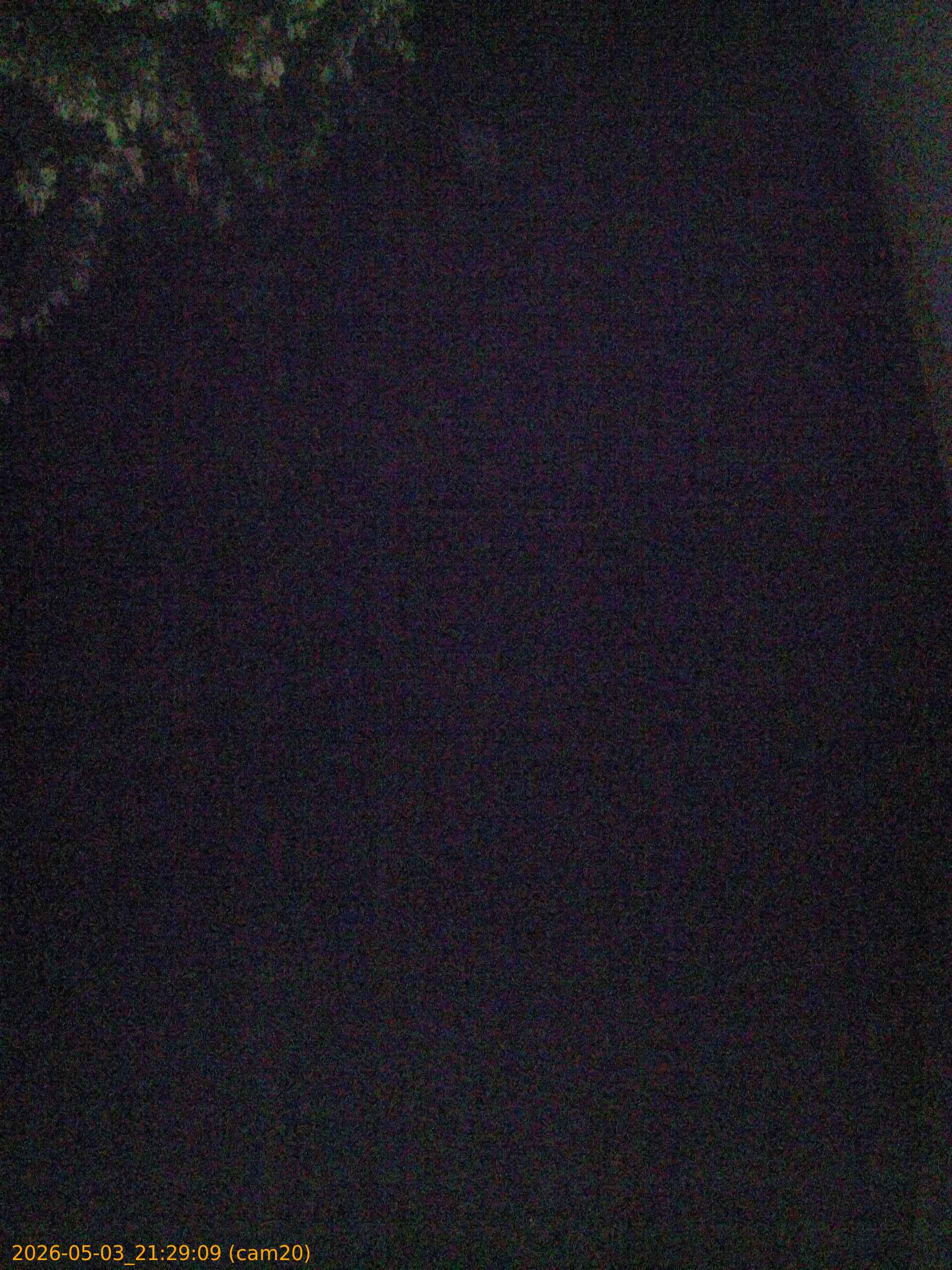 20260503212909