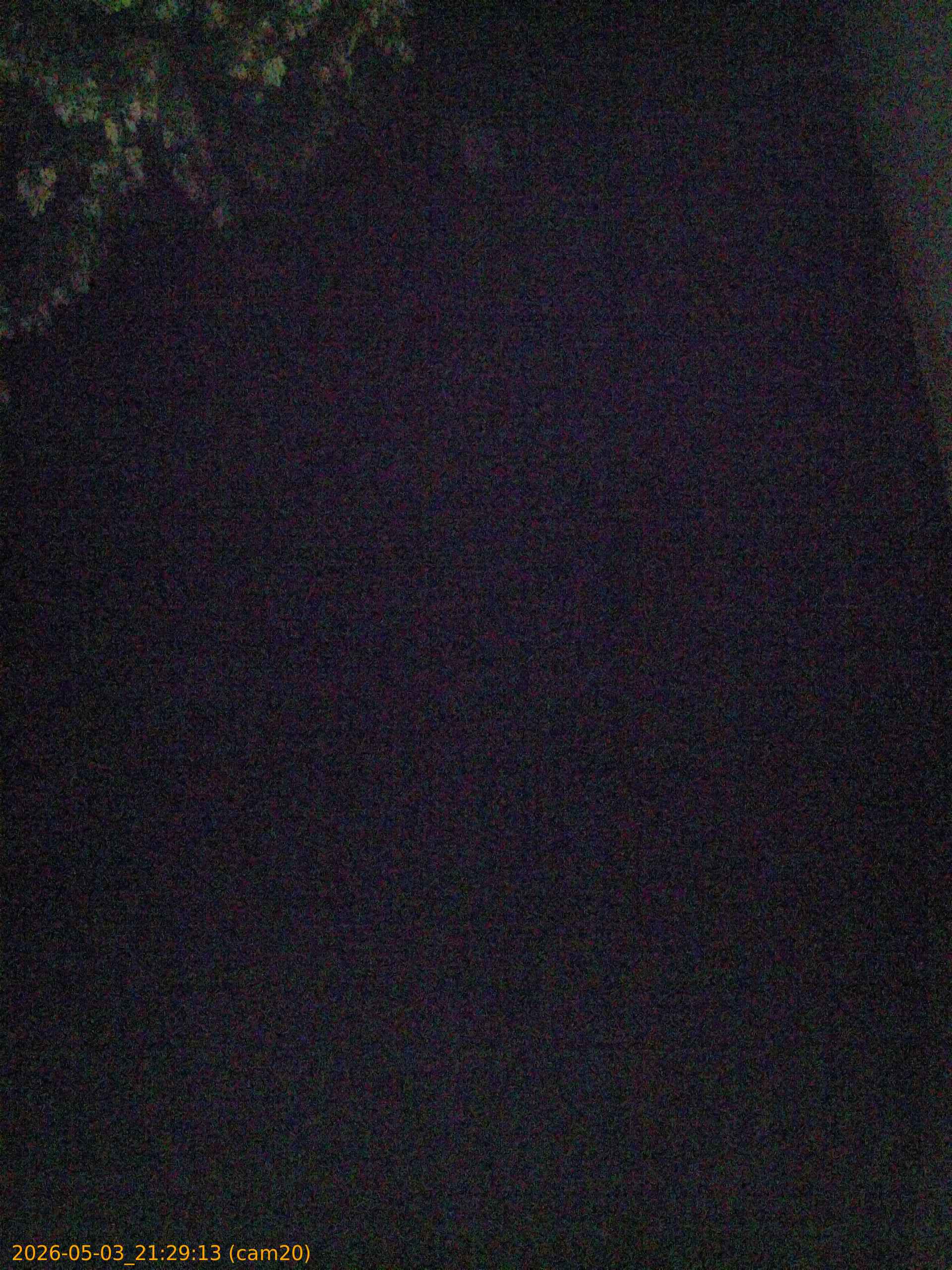 20260503212913