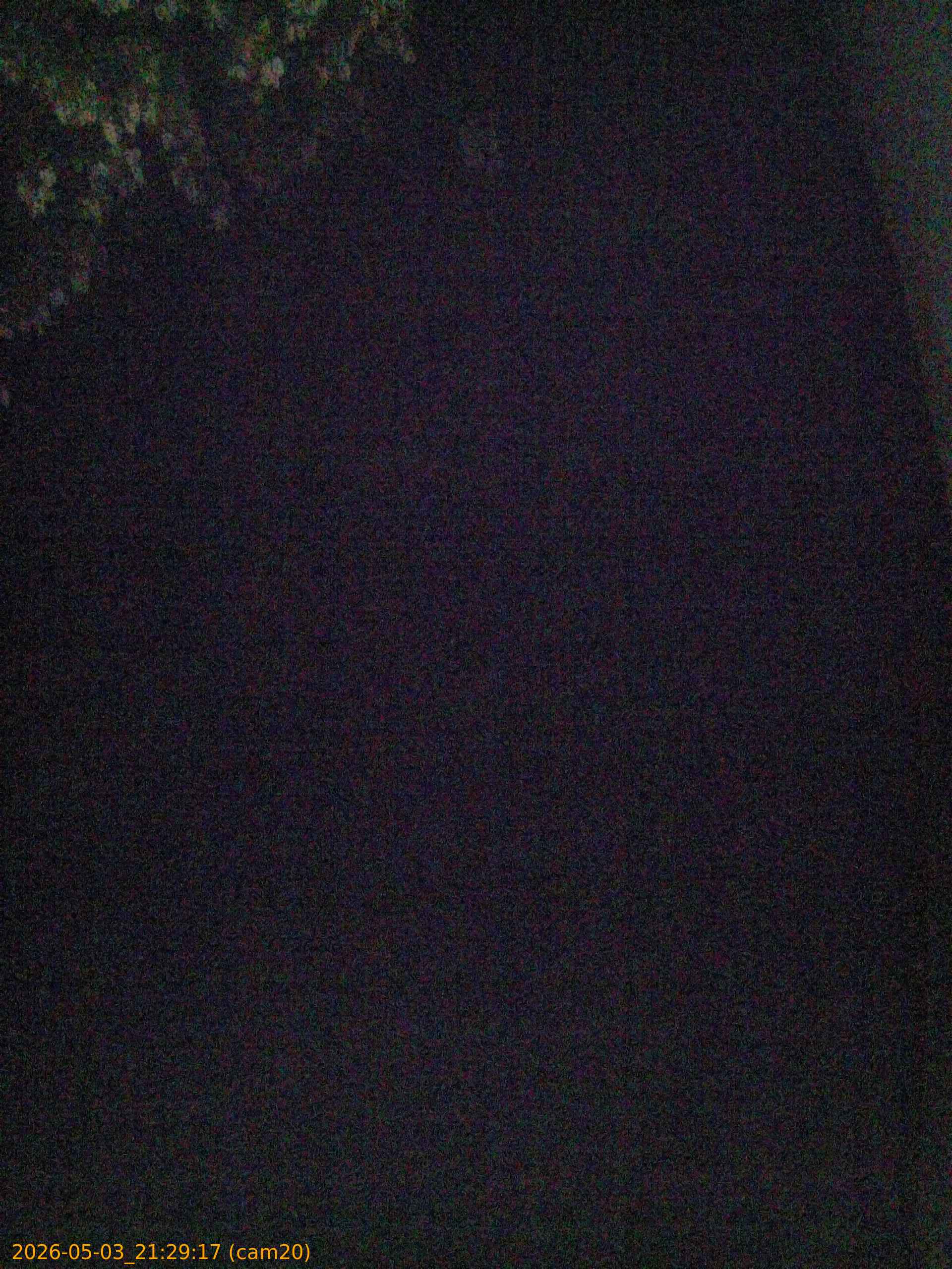 20260503212917