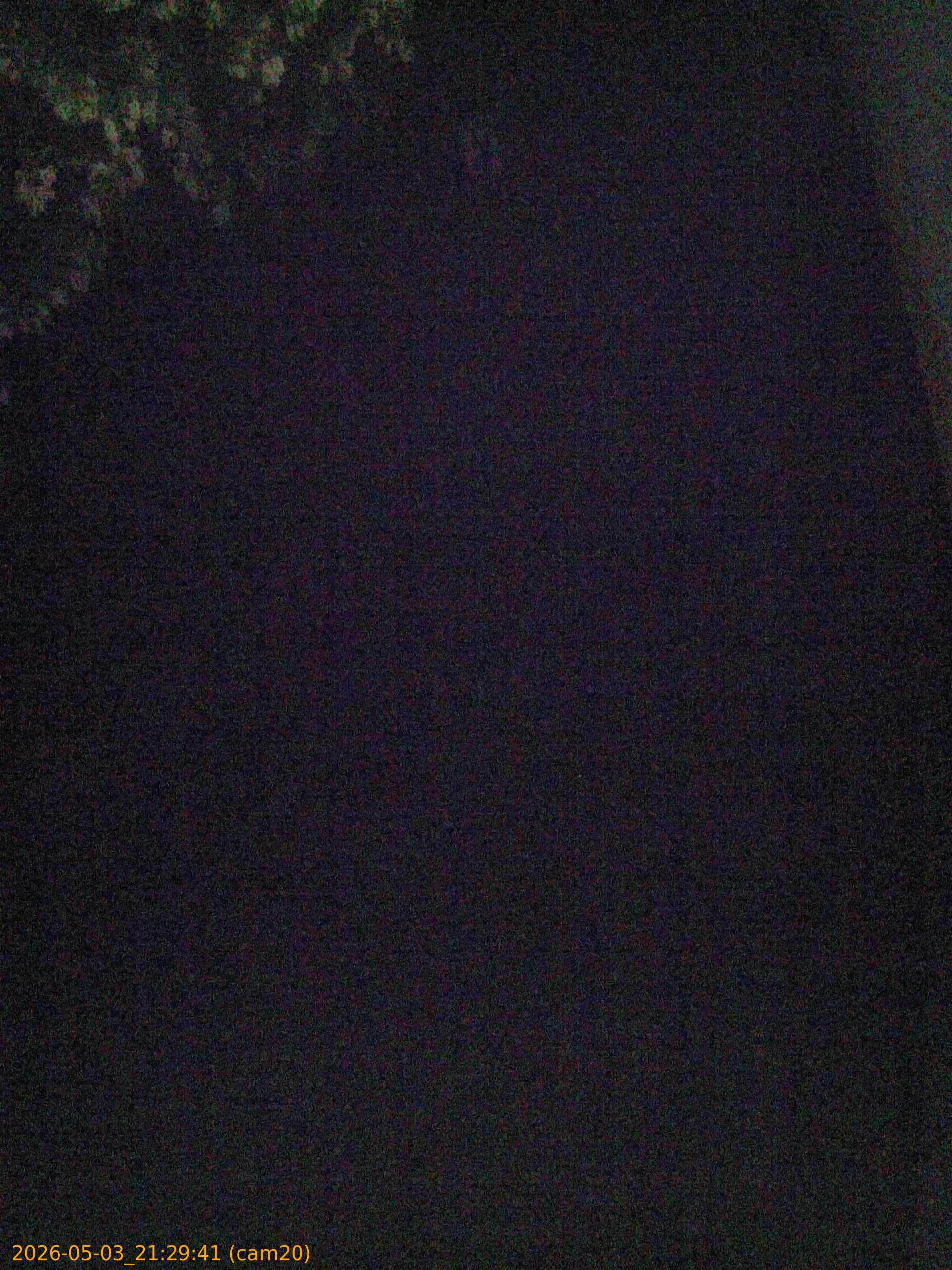 20260503212941
