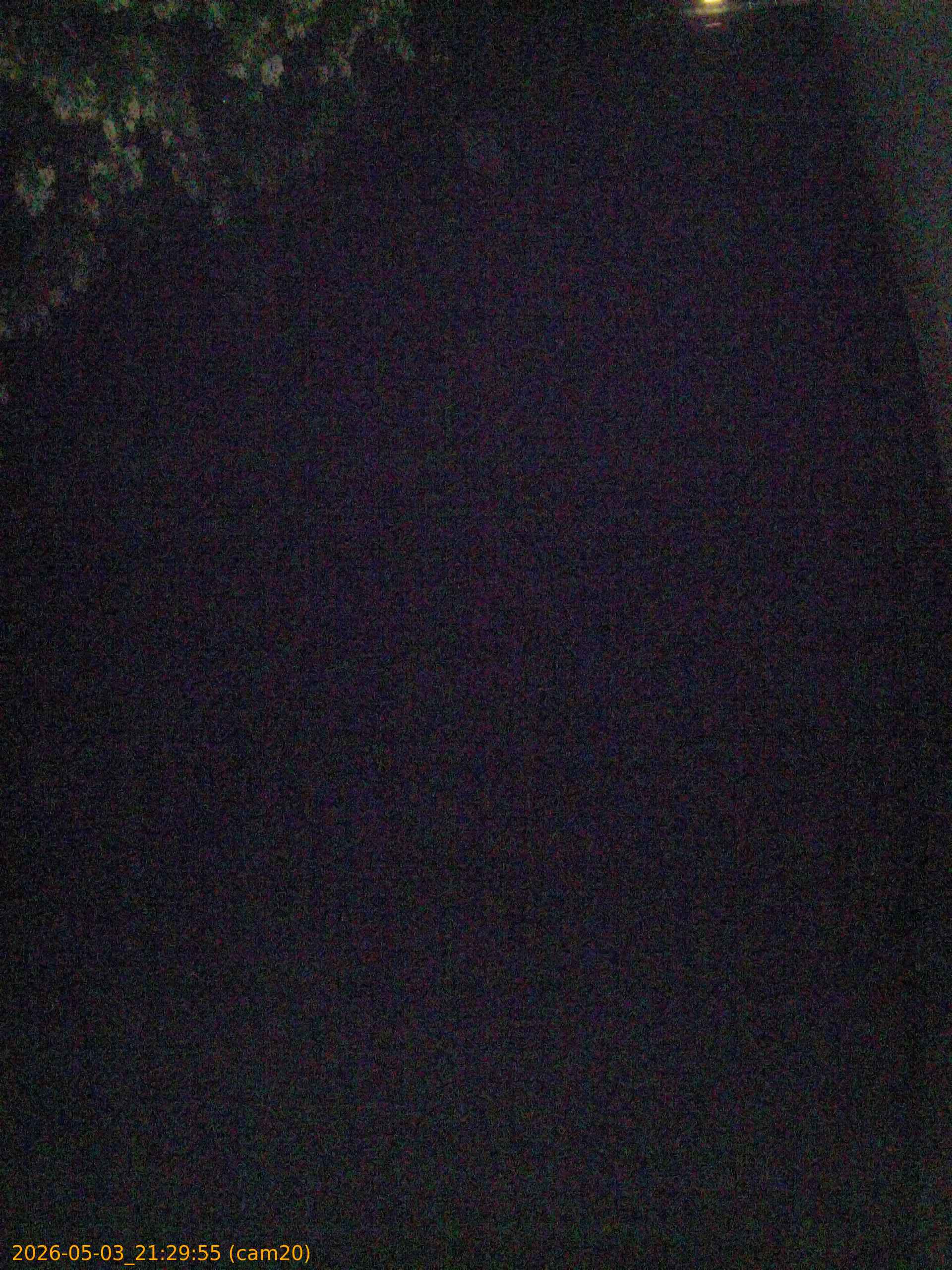 20260503212955