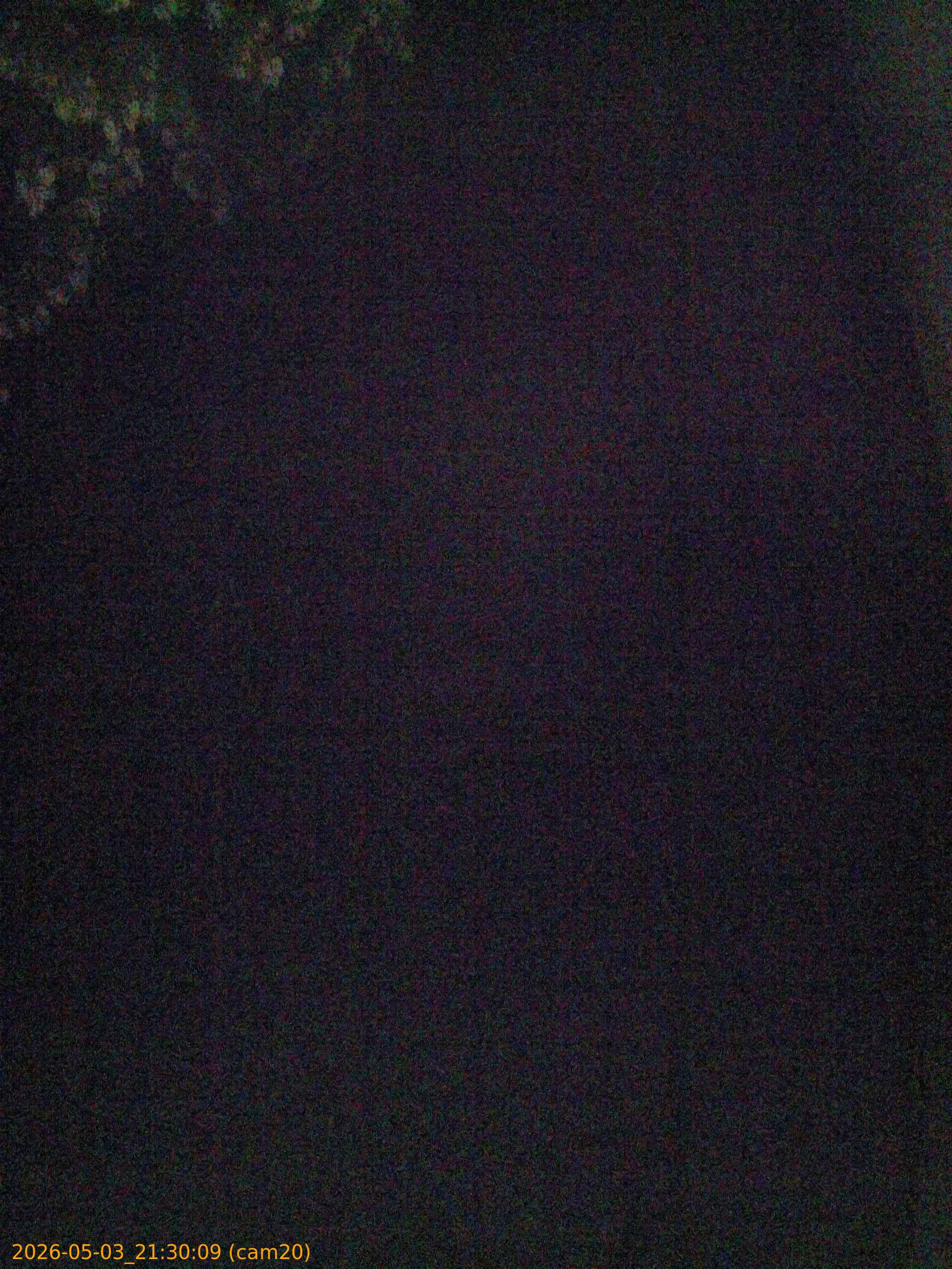 20260503213009