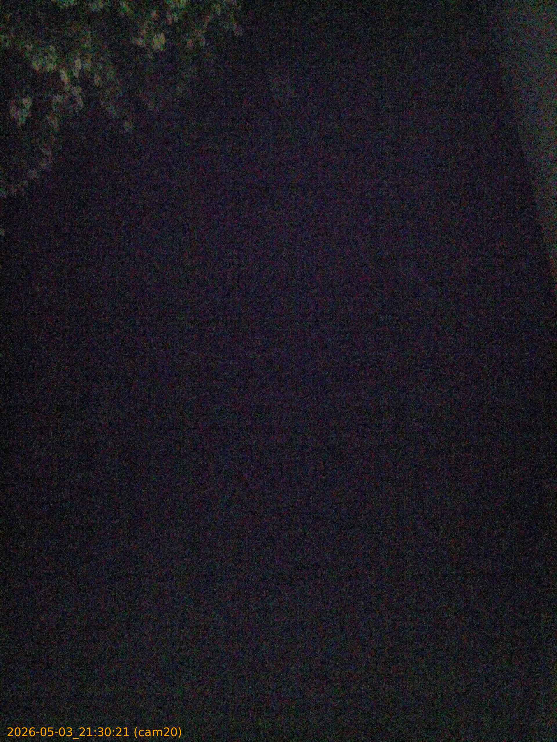 20260503213021