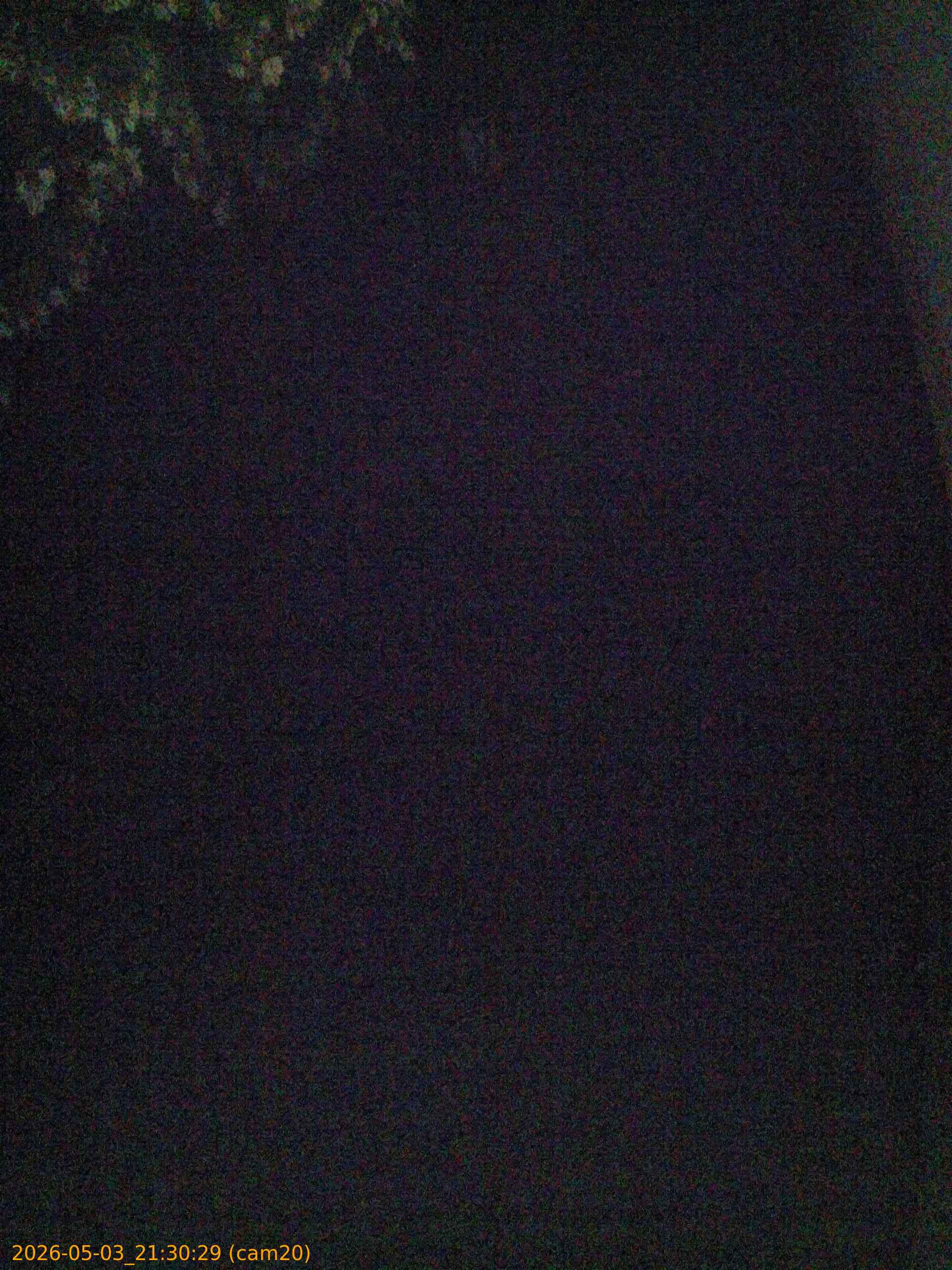20260503213029
