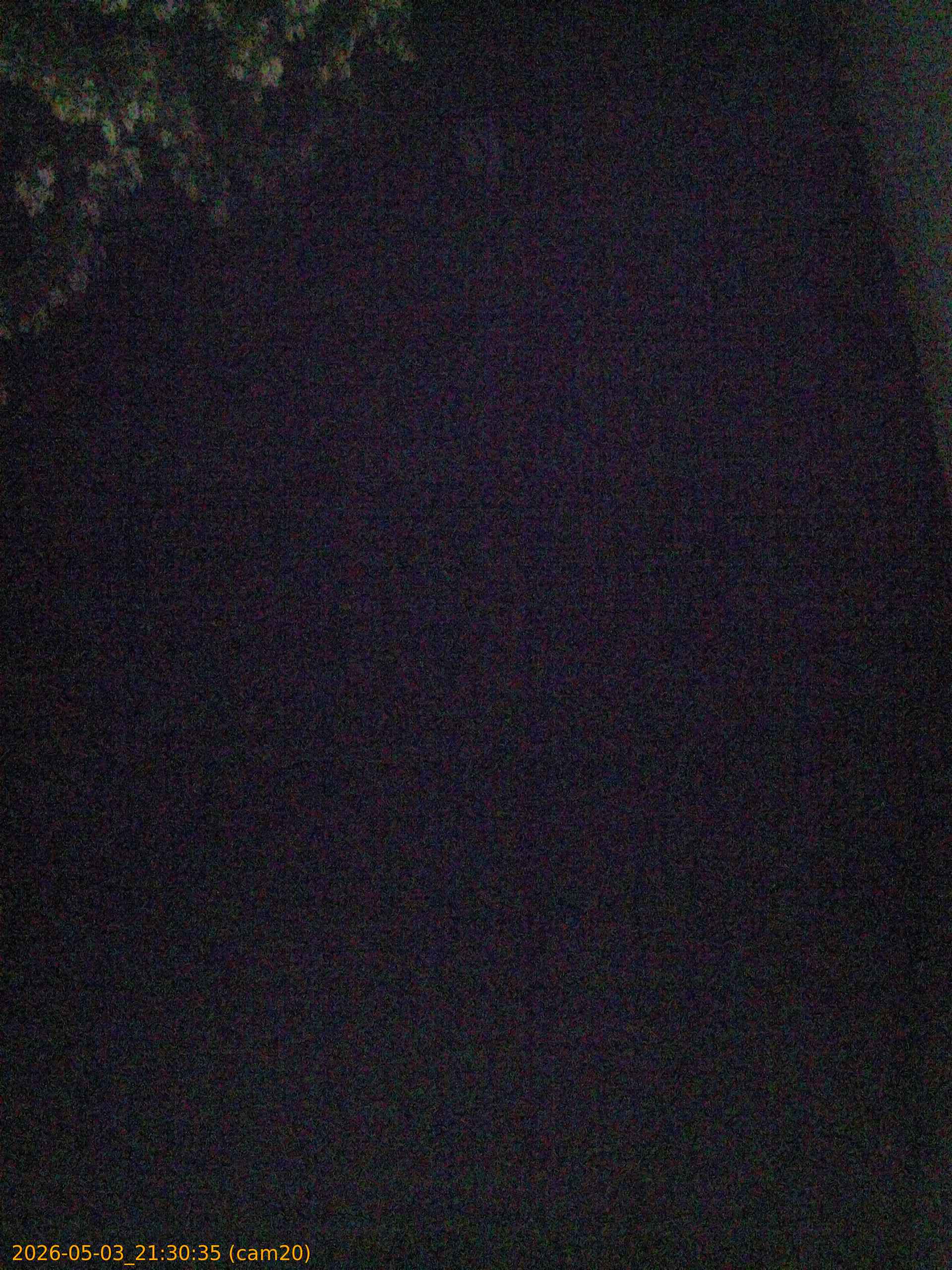 20260503213035
