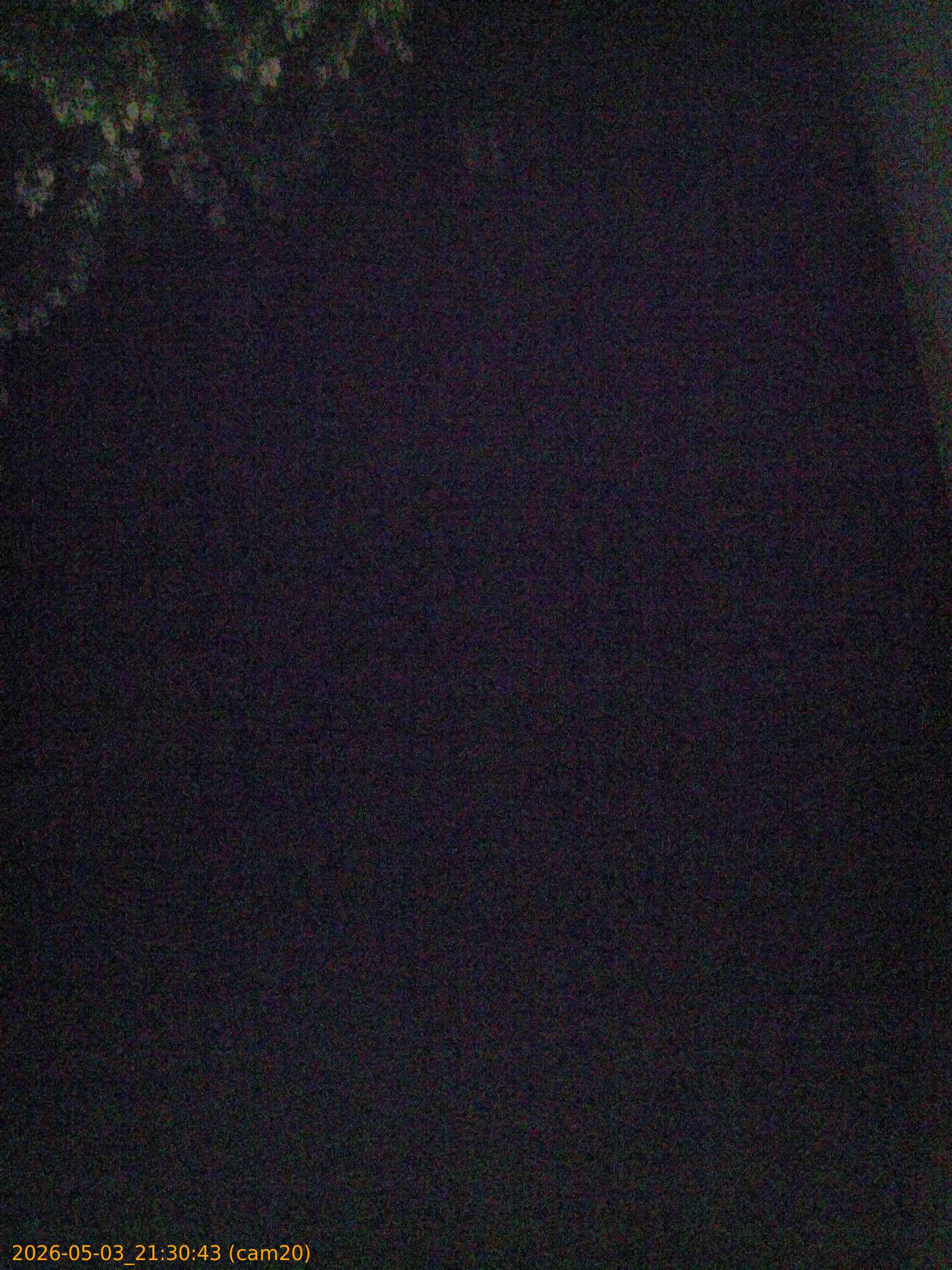 20260503213043
