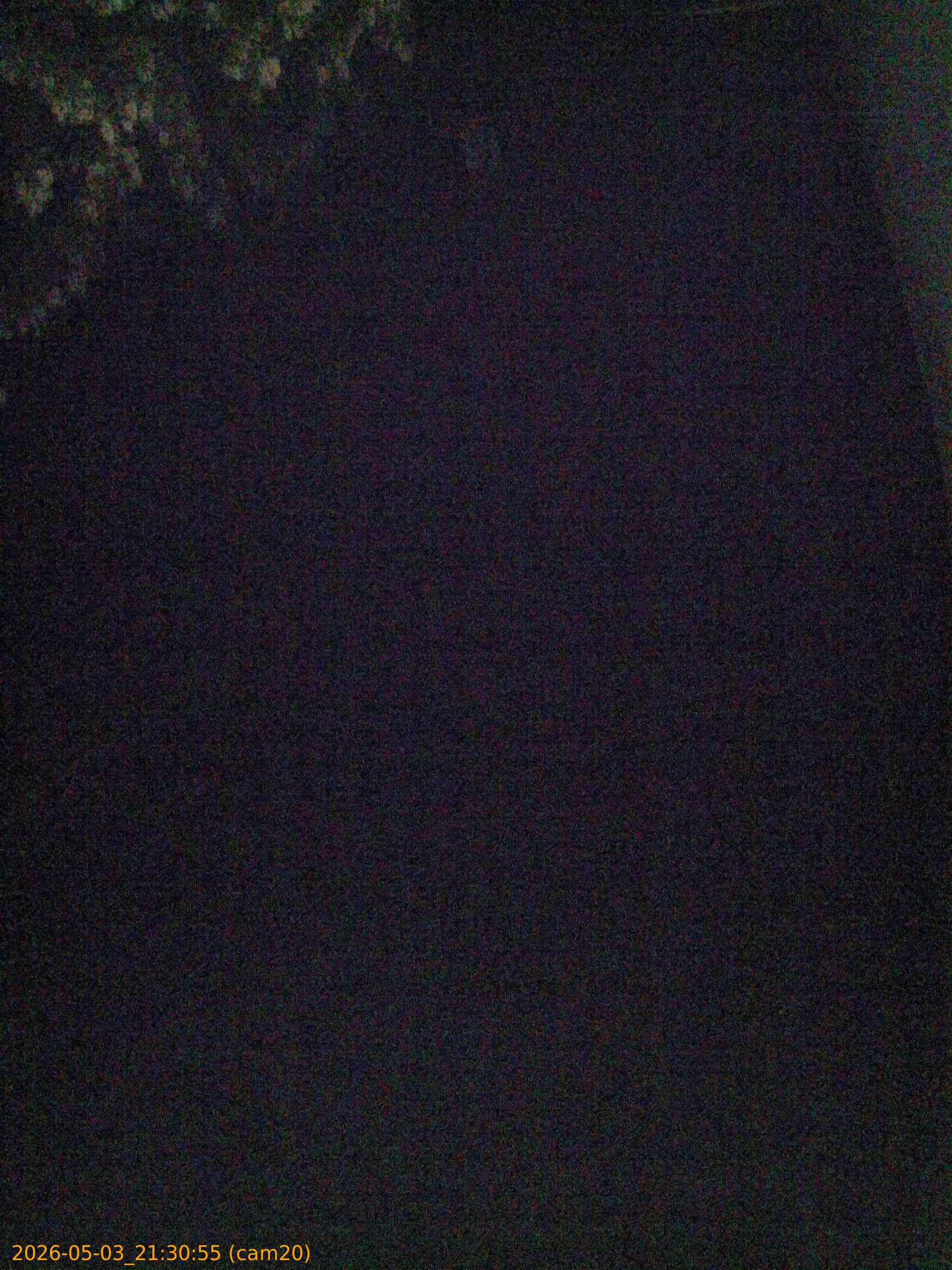 20260503213055