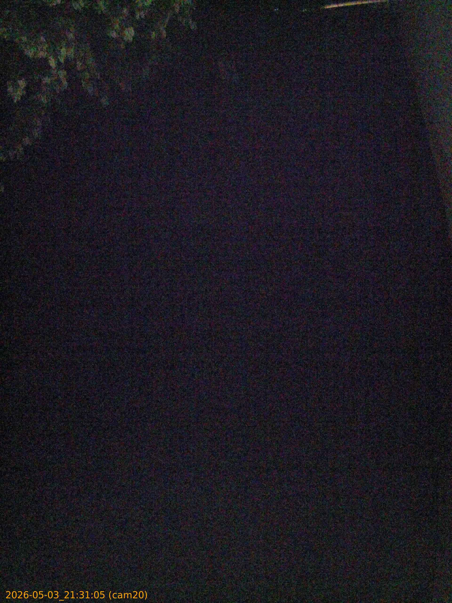20260503213105