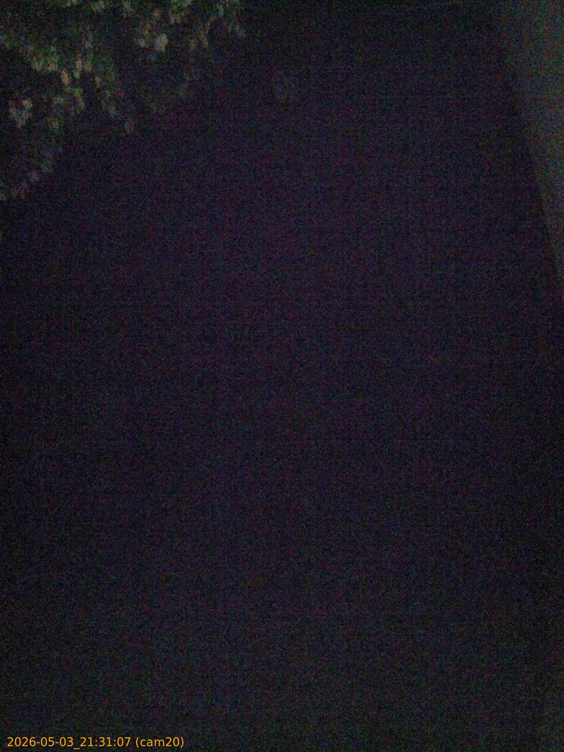 20260503213107