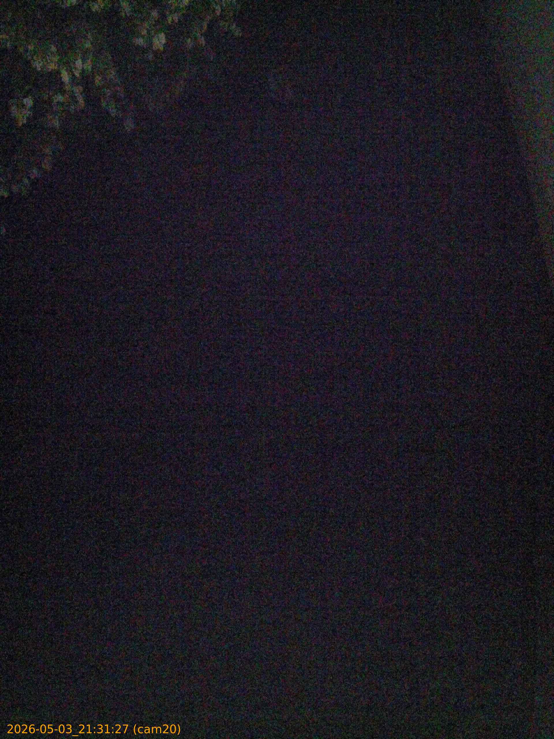 20260503213127