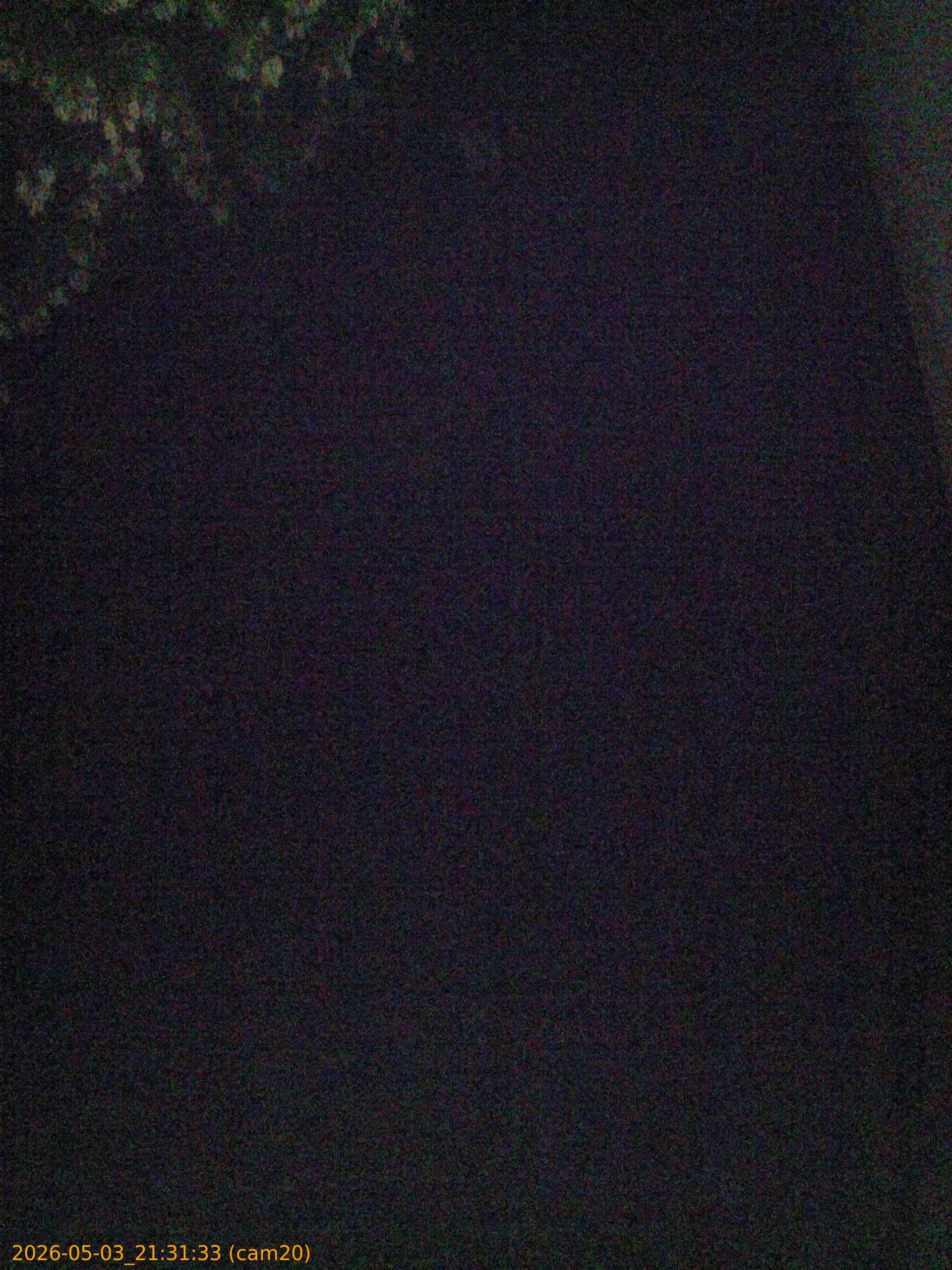 20260503213133