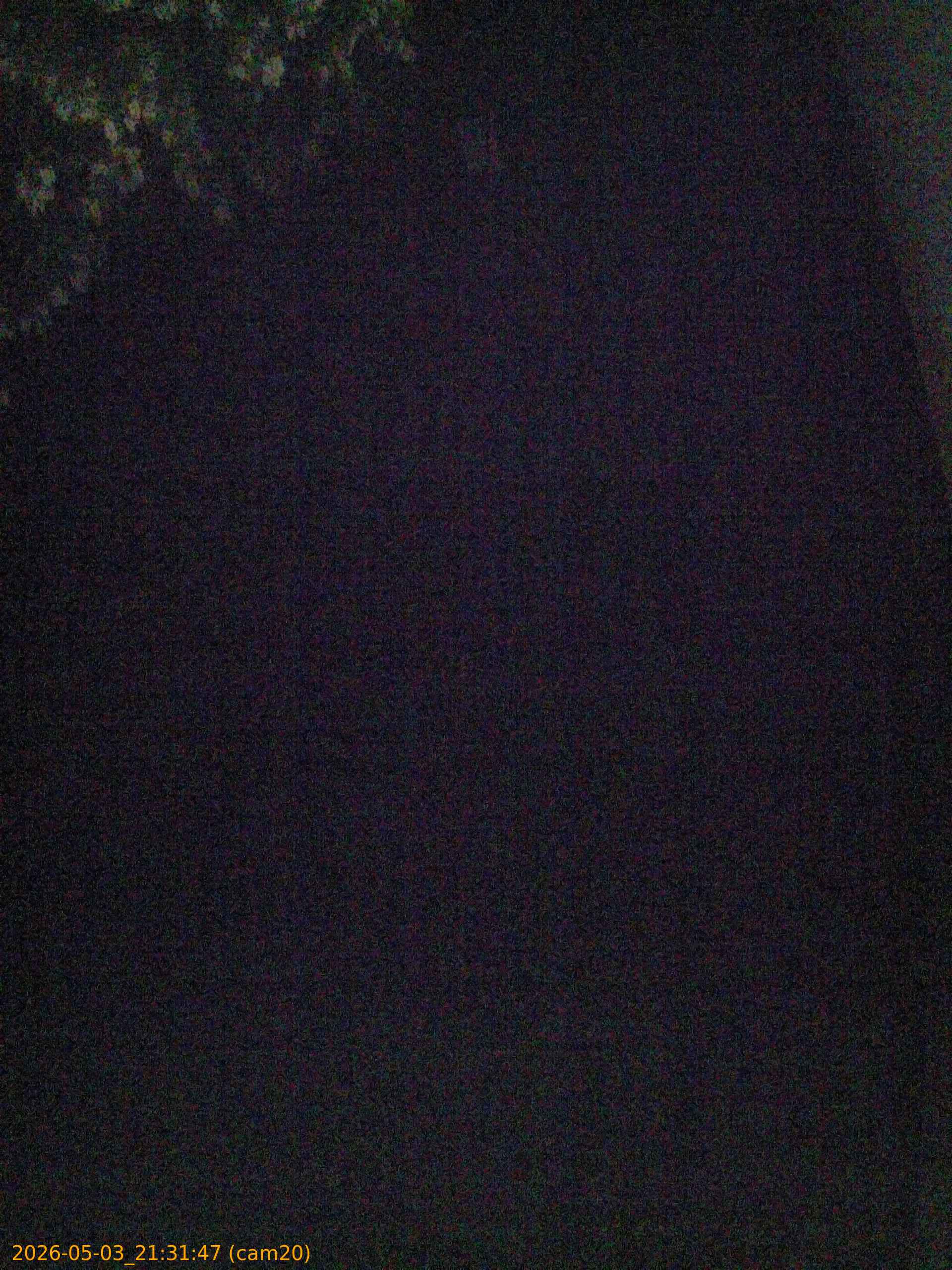 20260503213147