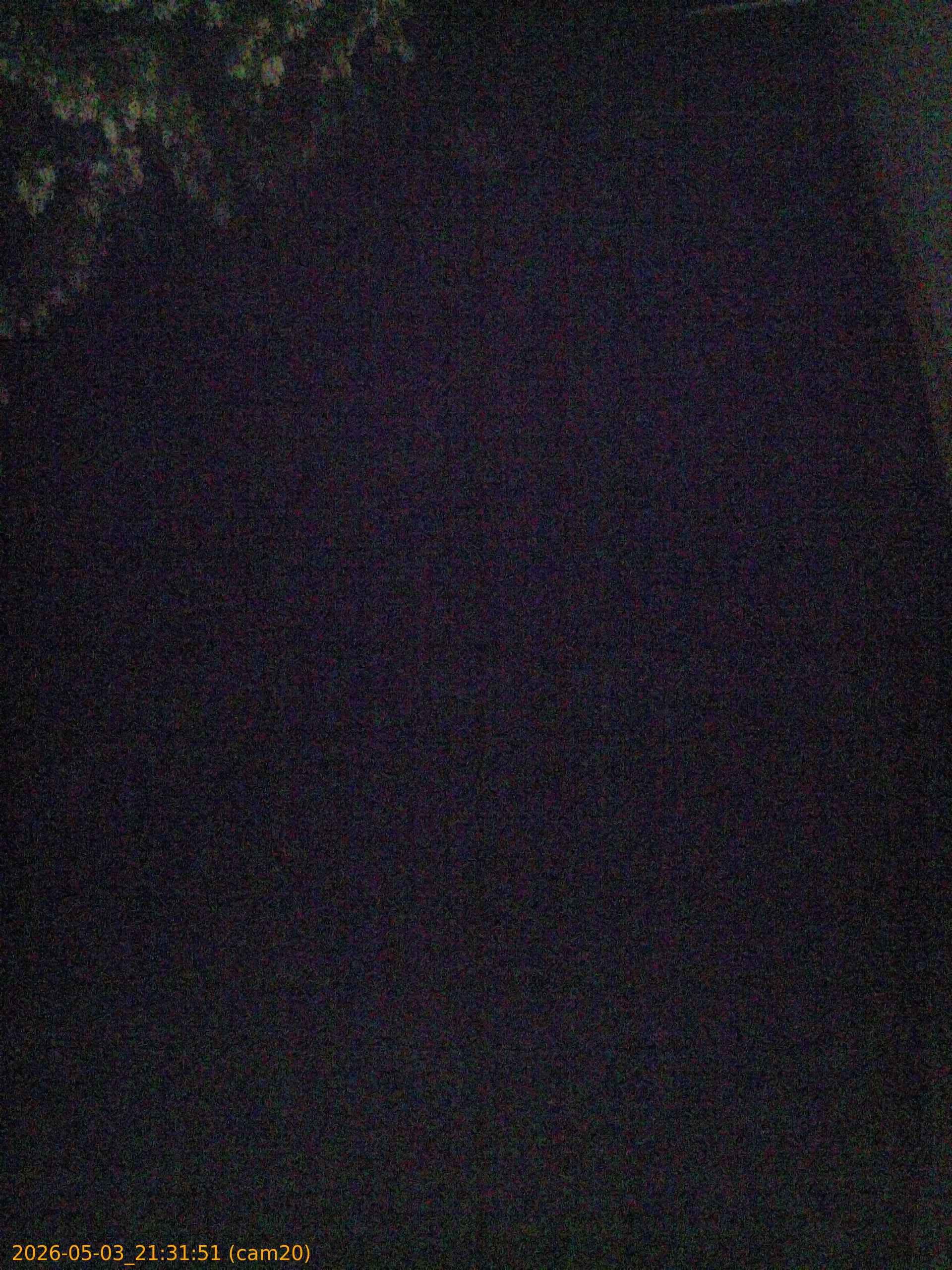 20260503213151