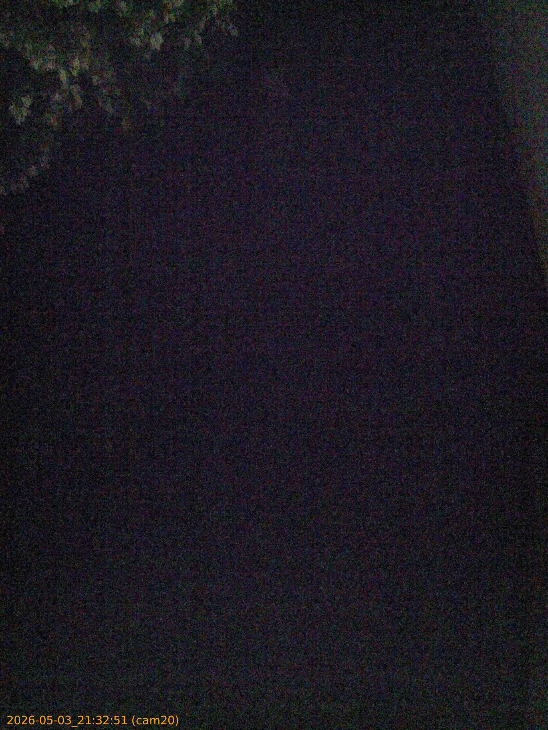 20260503213251
