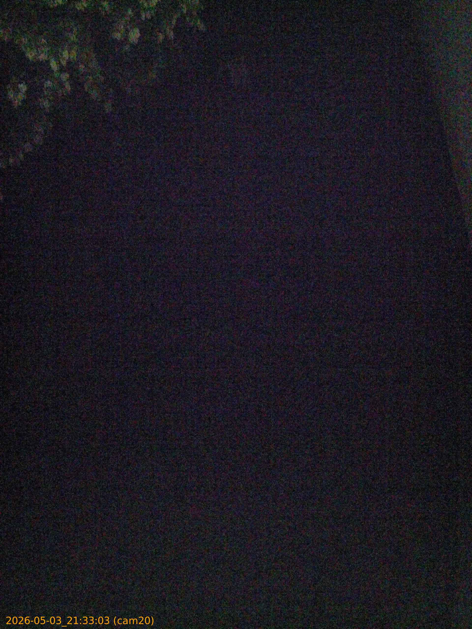 20260503213303