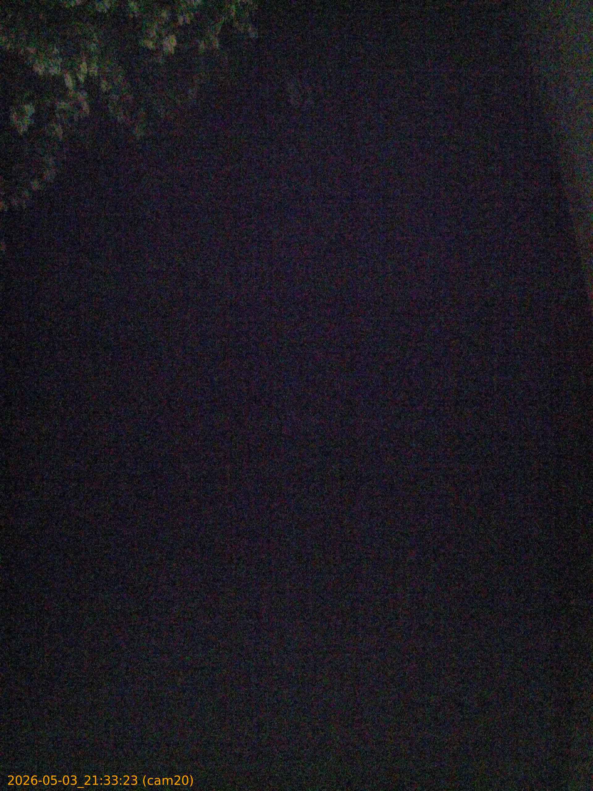 20260503213323