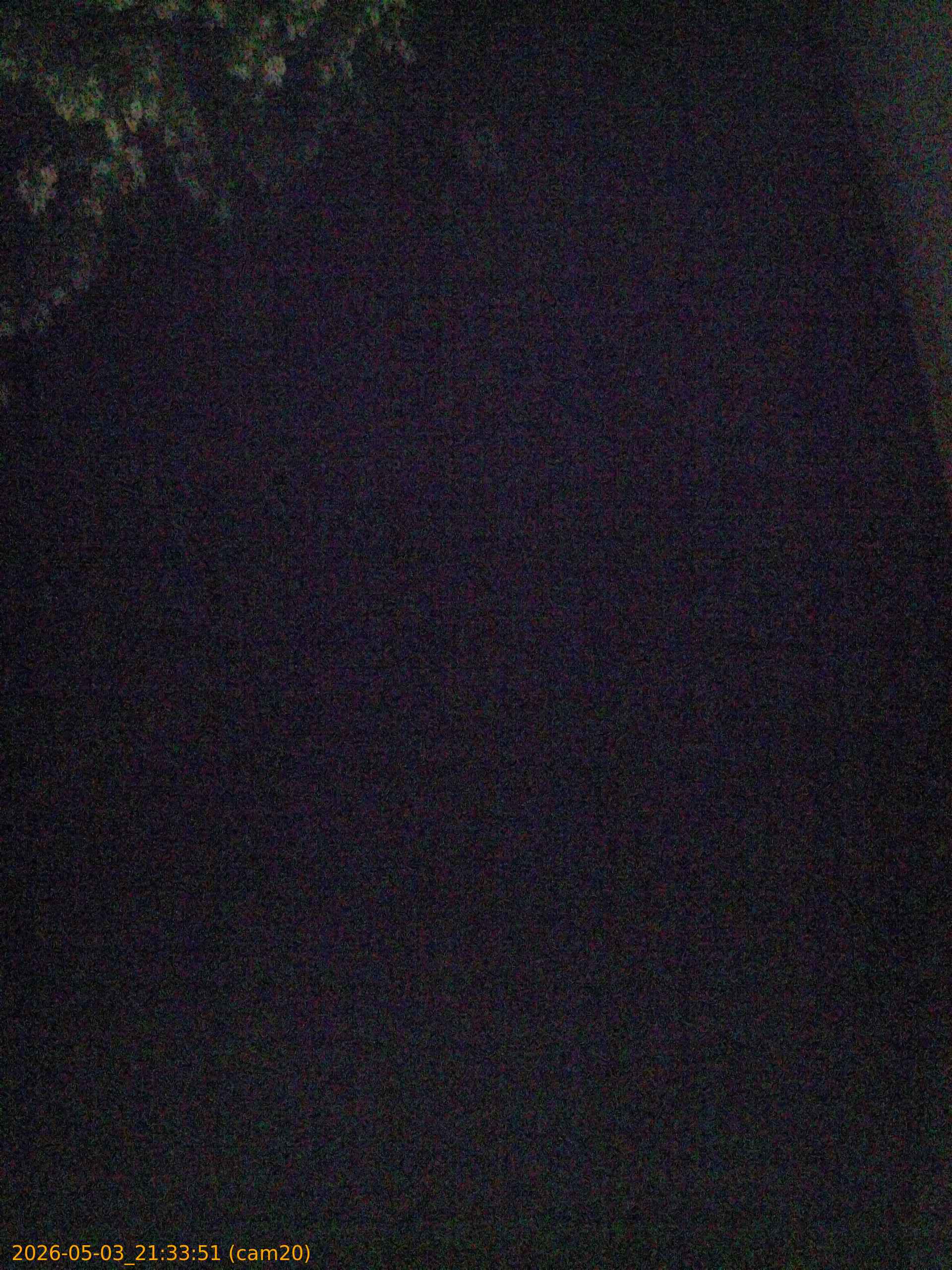 20260503213351