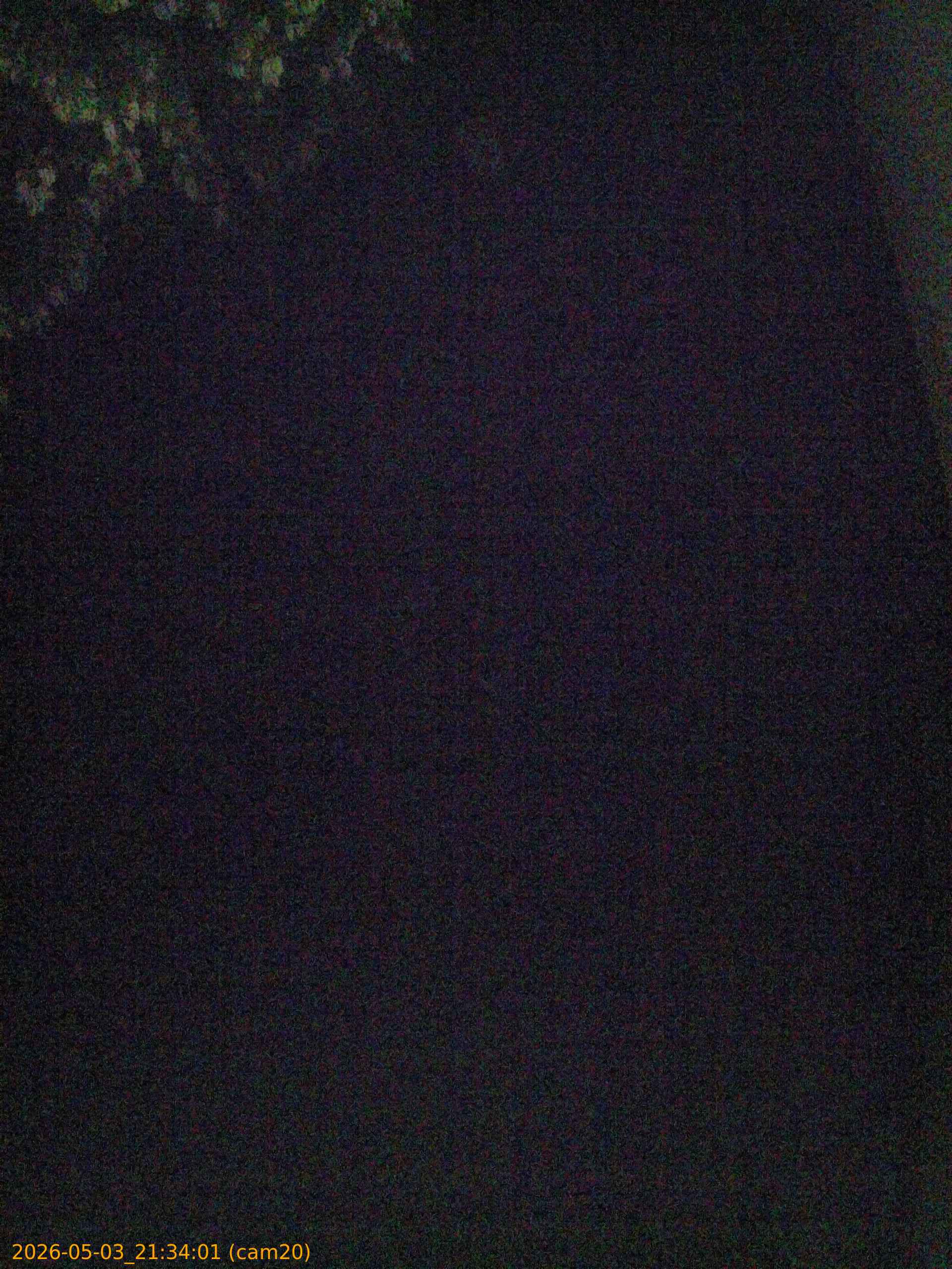 20260503213401