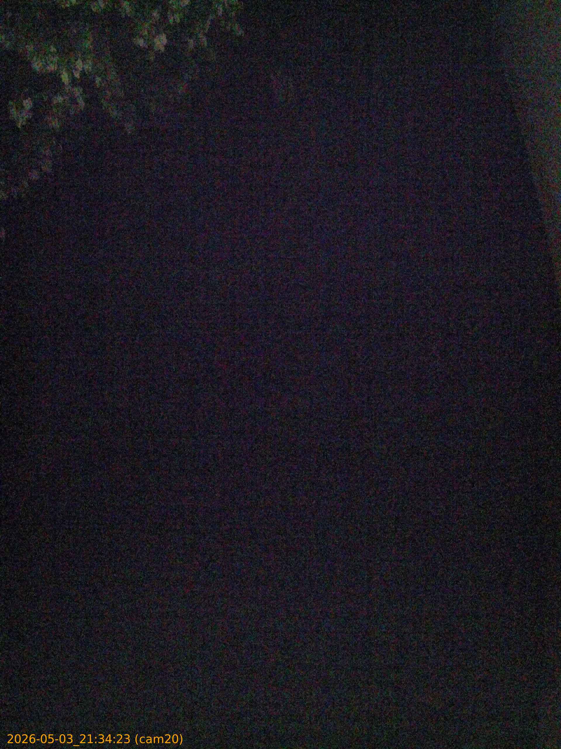 20260503213423