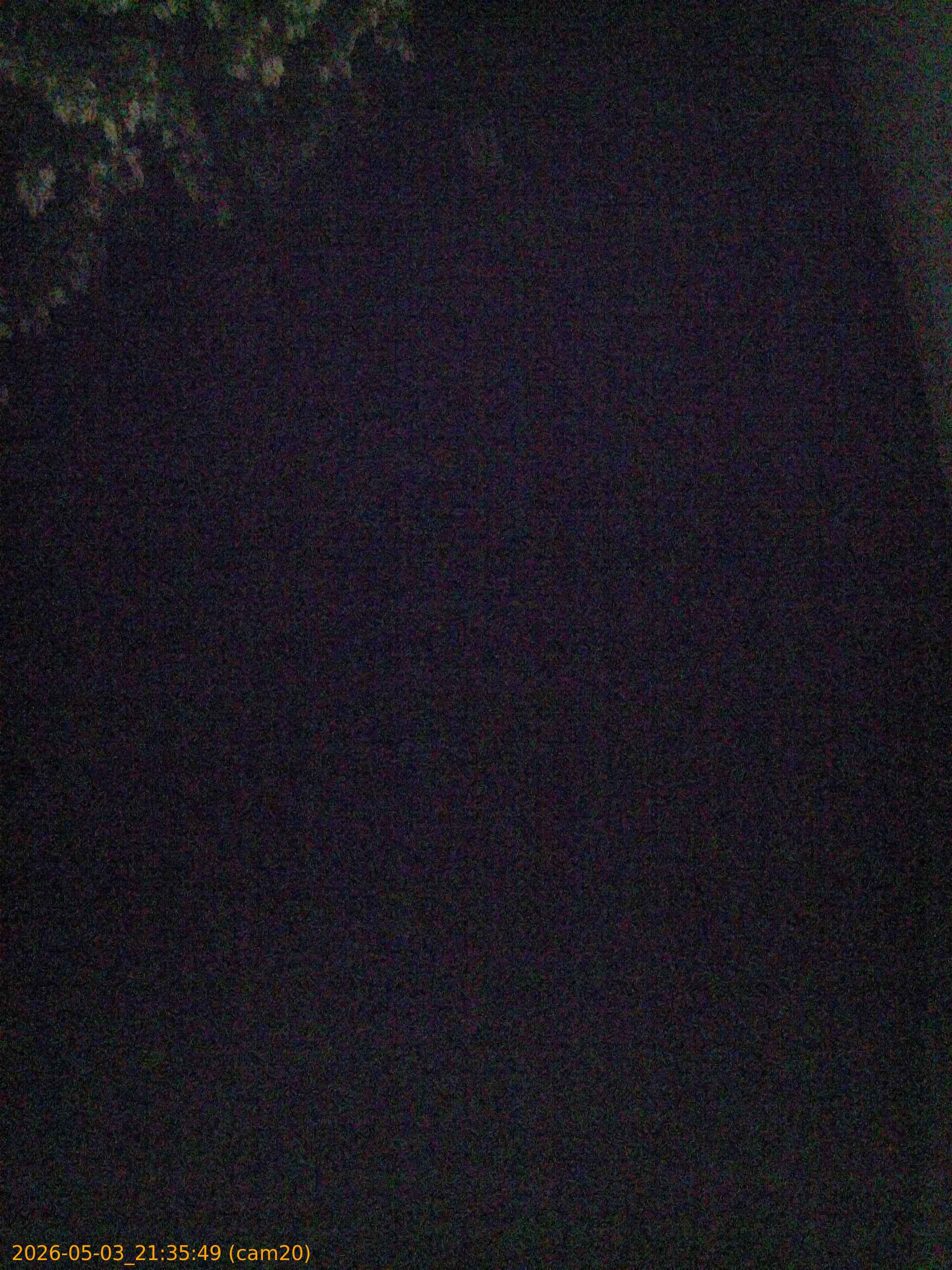 20260503213549