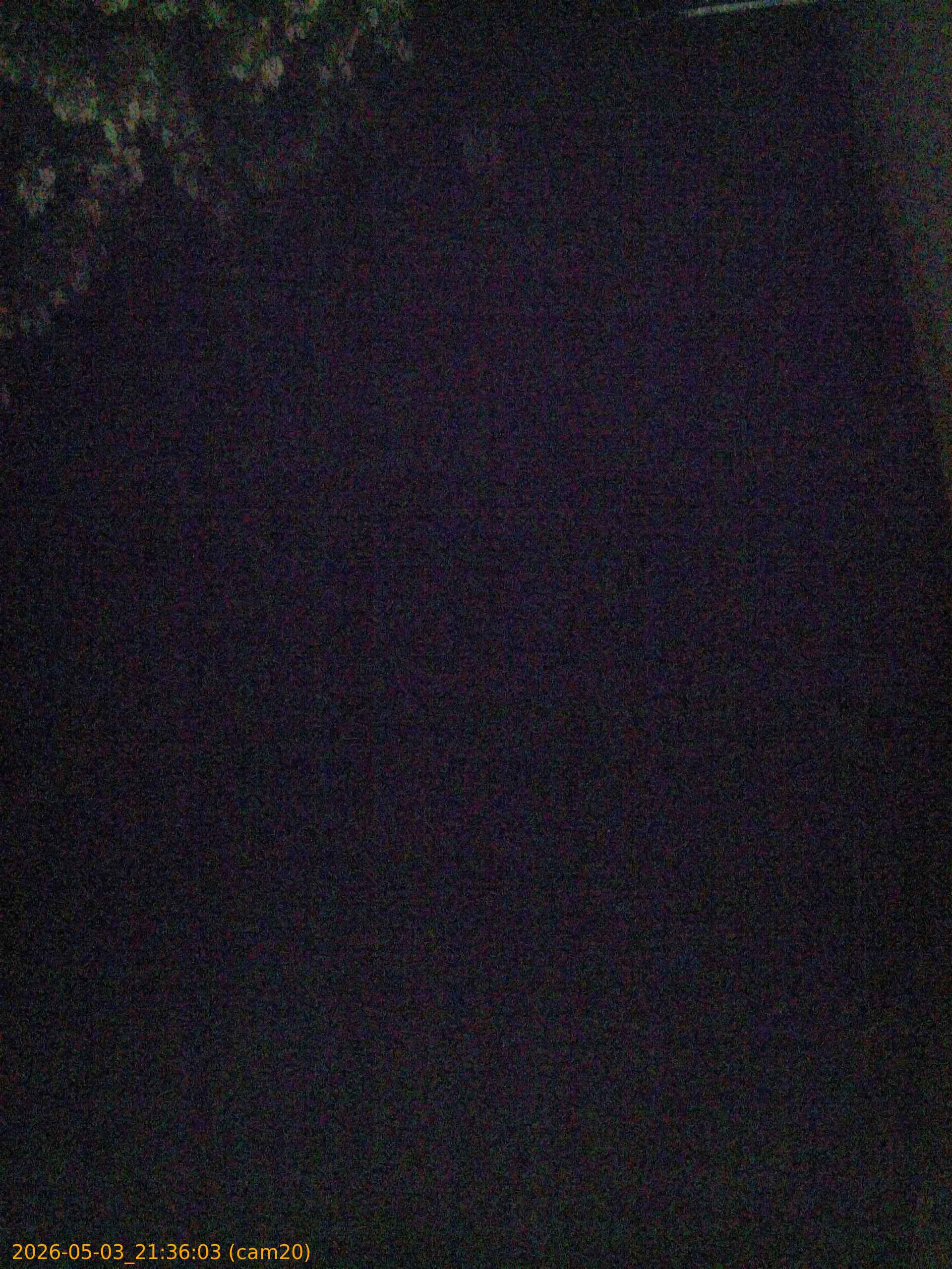 20260503213603