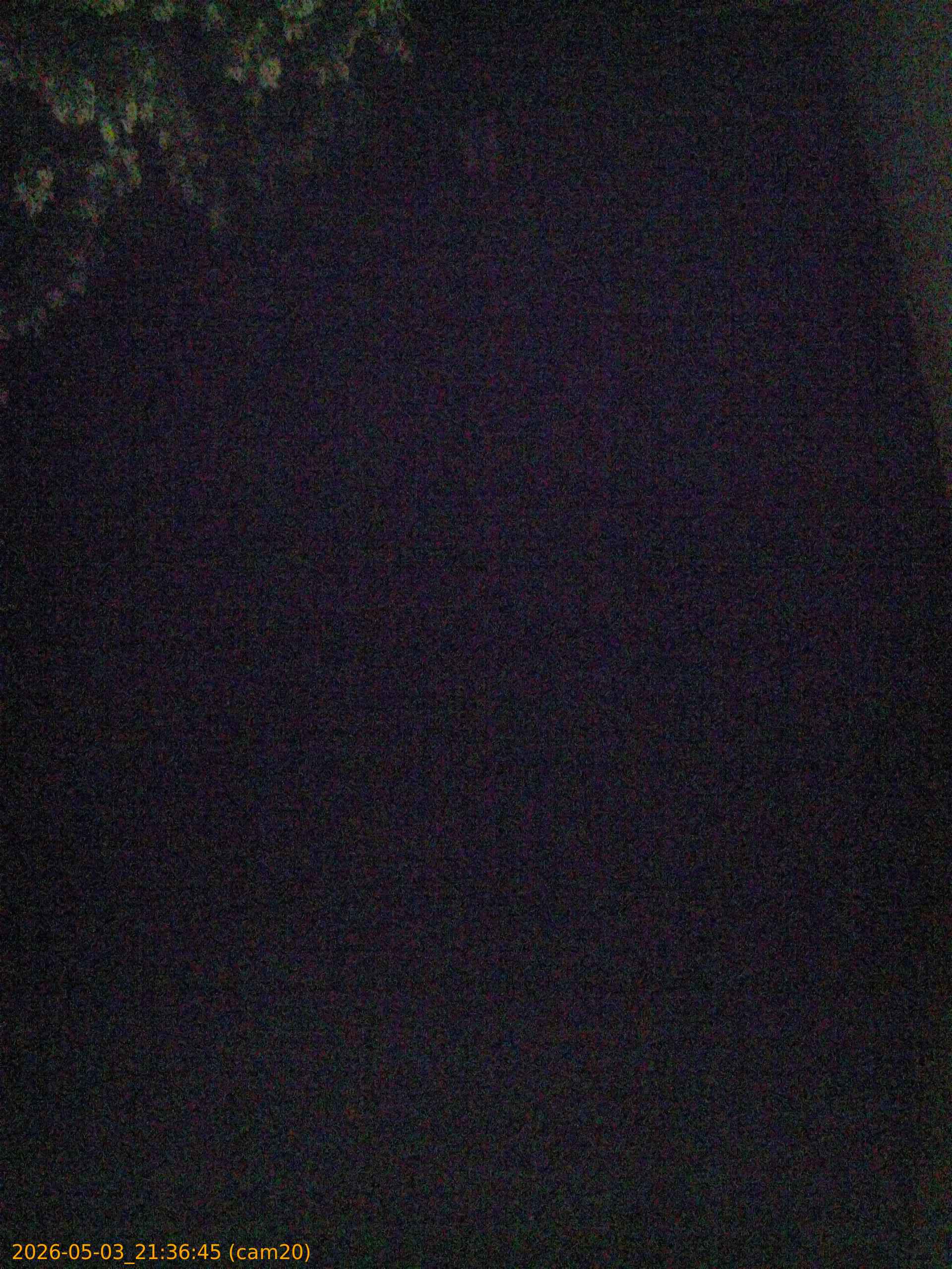 20260503213645