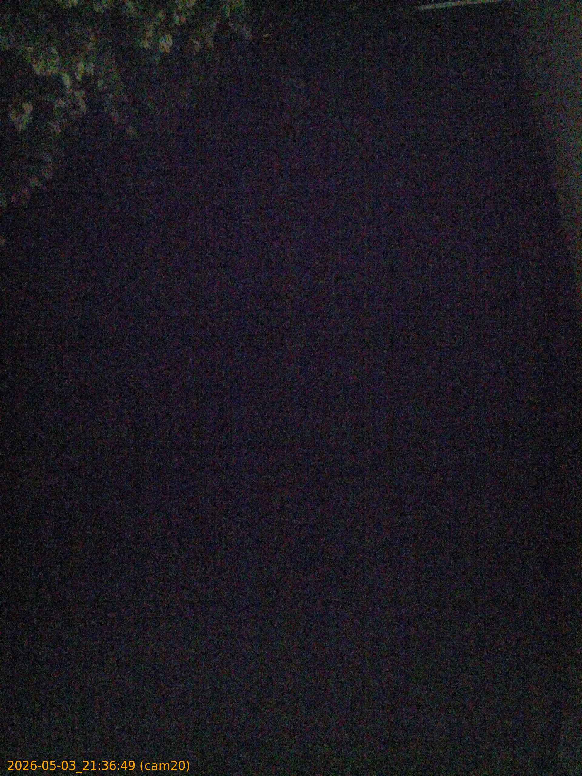 20260503213649