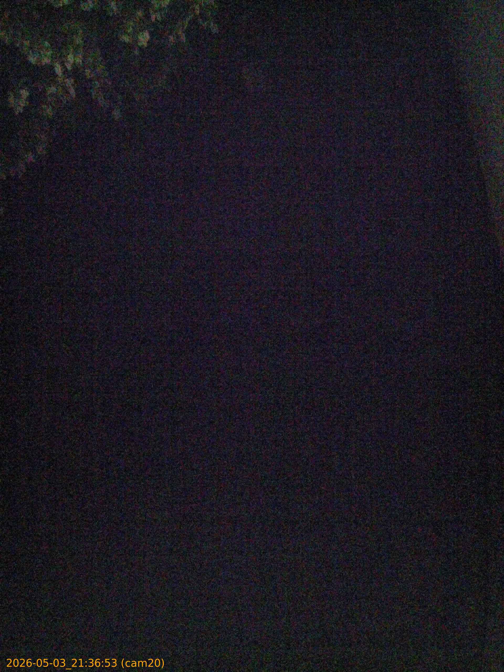 20260503213653