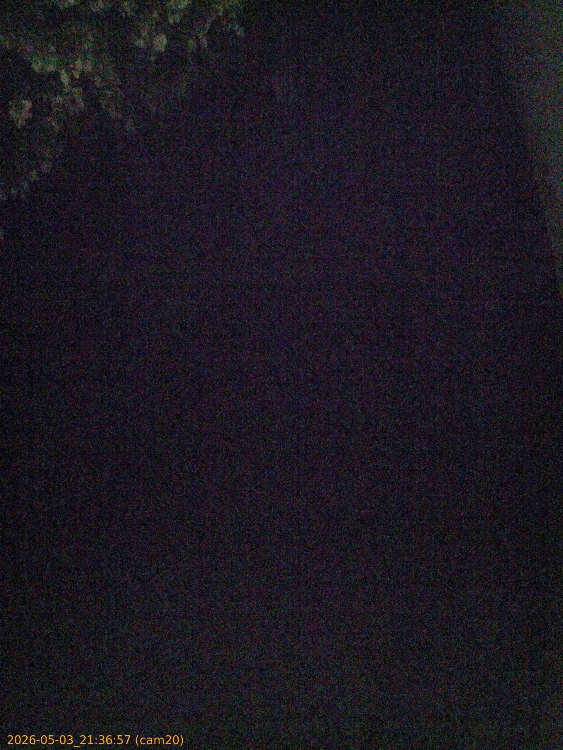 20260503213657